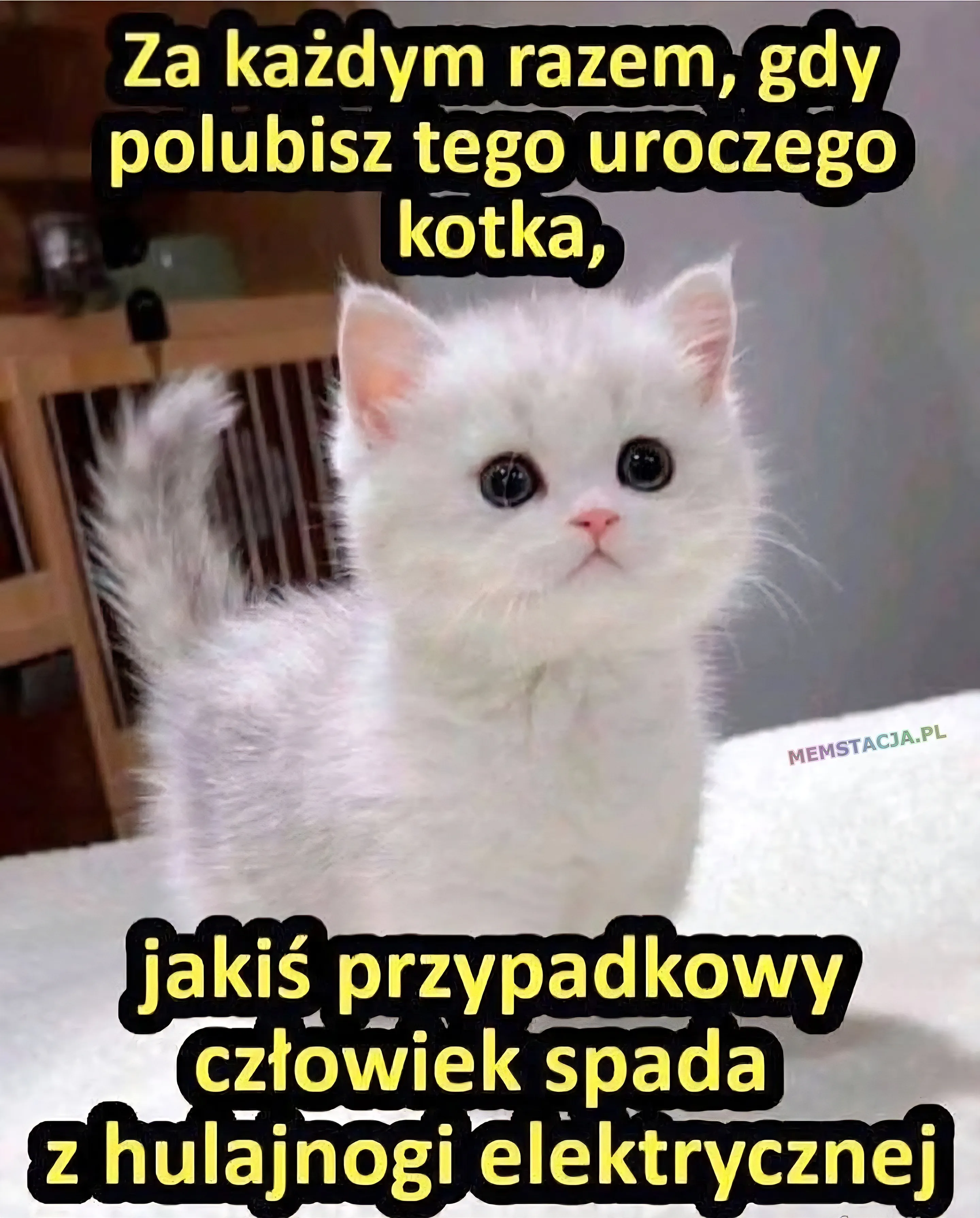 Mem o tytule: Uroczy kotek i… skutki lajków 🤔 Biały, puszysty kotek z dużymi oczami na tle napisu: 'Za każdym razem, gdy polubisz tego uroczego kotka, jakiś przypadkowy człowiek spada z hulajnogi elektrycznej