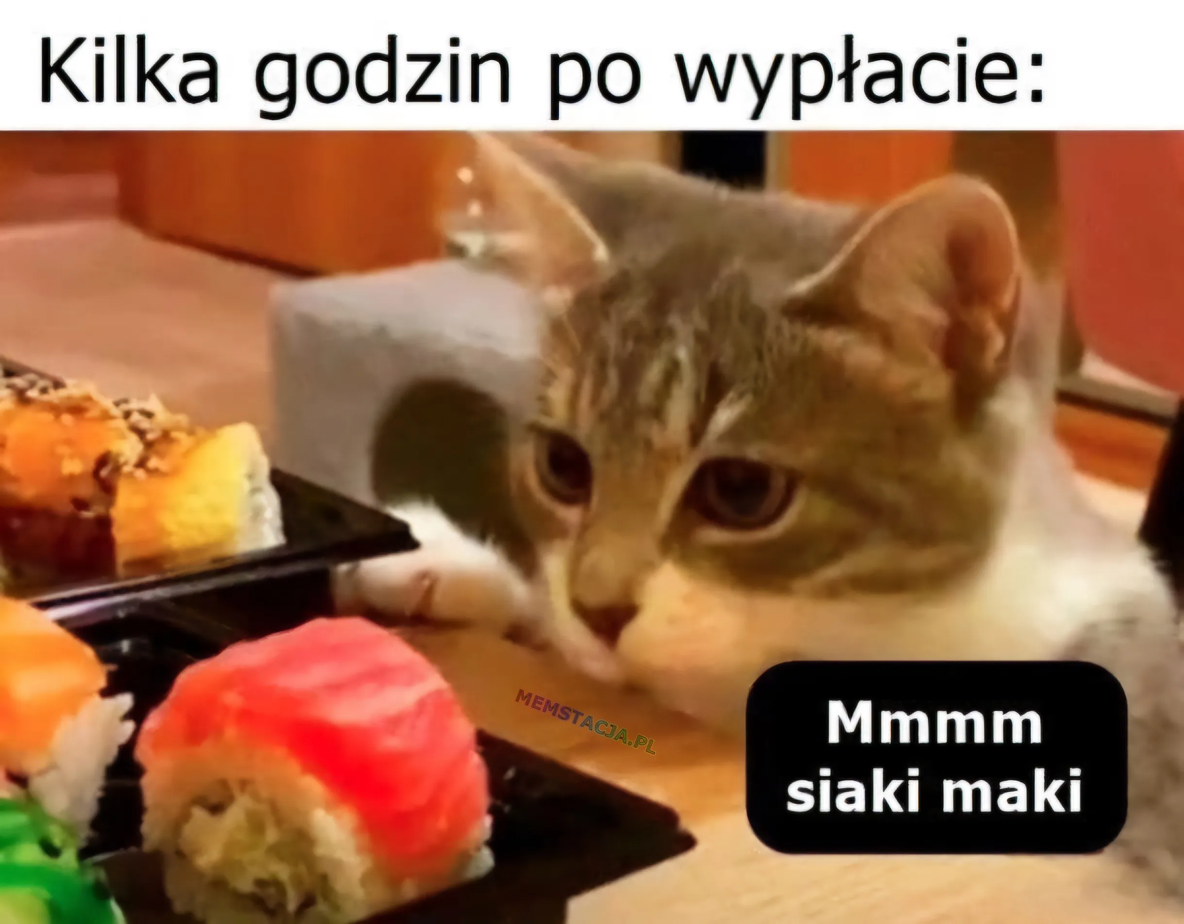 Kilka godzin po wypłacie: Zdjęcie kota przy stole pełnym sushi, ktory mówi "Mmmm siaki maki"