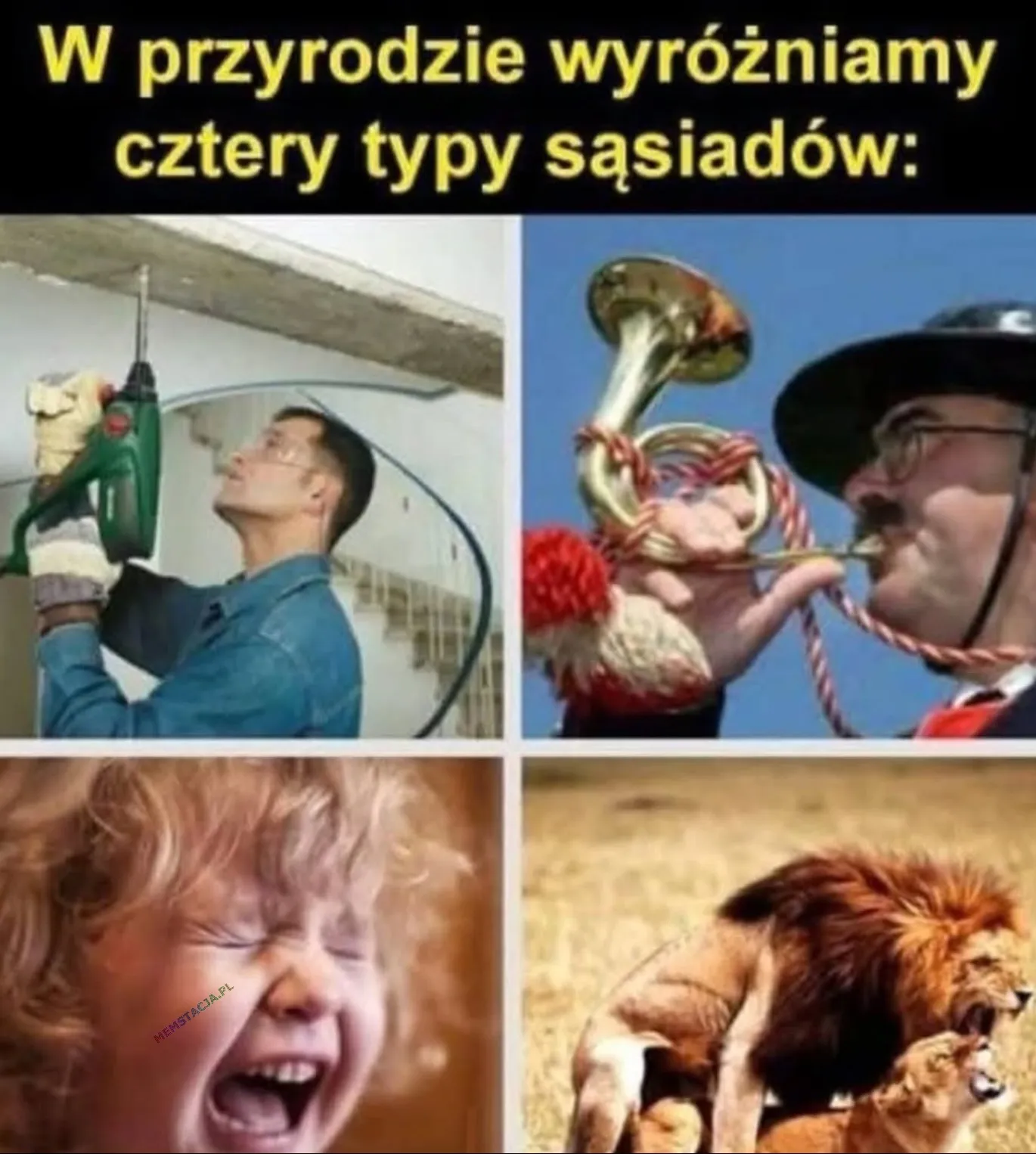 W przyrodzie wyróżmniamy cztery typy sąsiadów: Wiercący, grający na trąbce, płaczące dziecko, głośni sąsiedzi