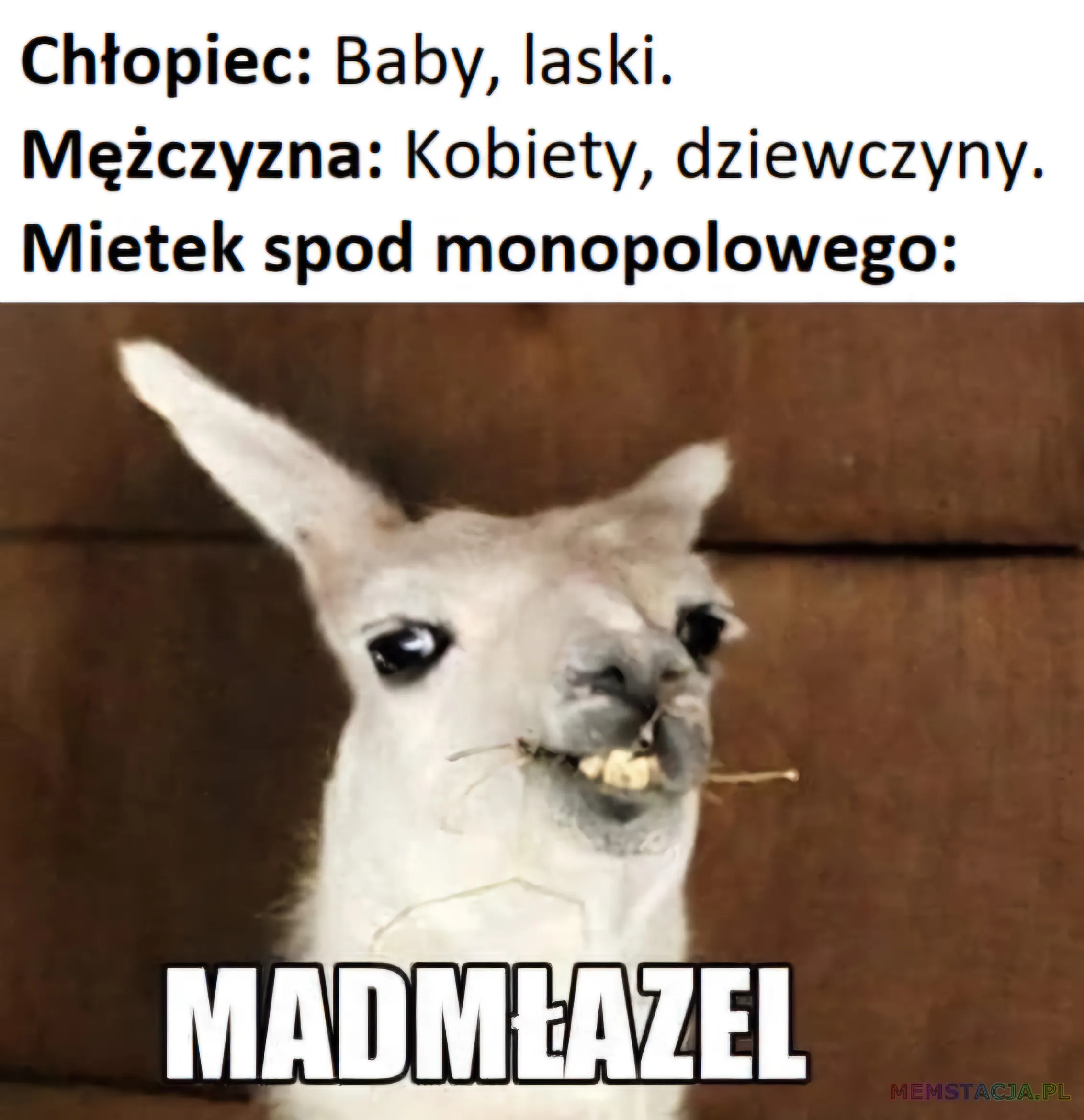 Chłopcy: Baby, laski.; Mężczyzna: Kobiety, dziewczyny.; Mietek spod monopolowego: Madmłazel