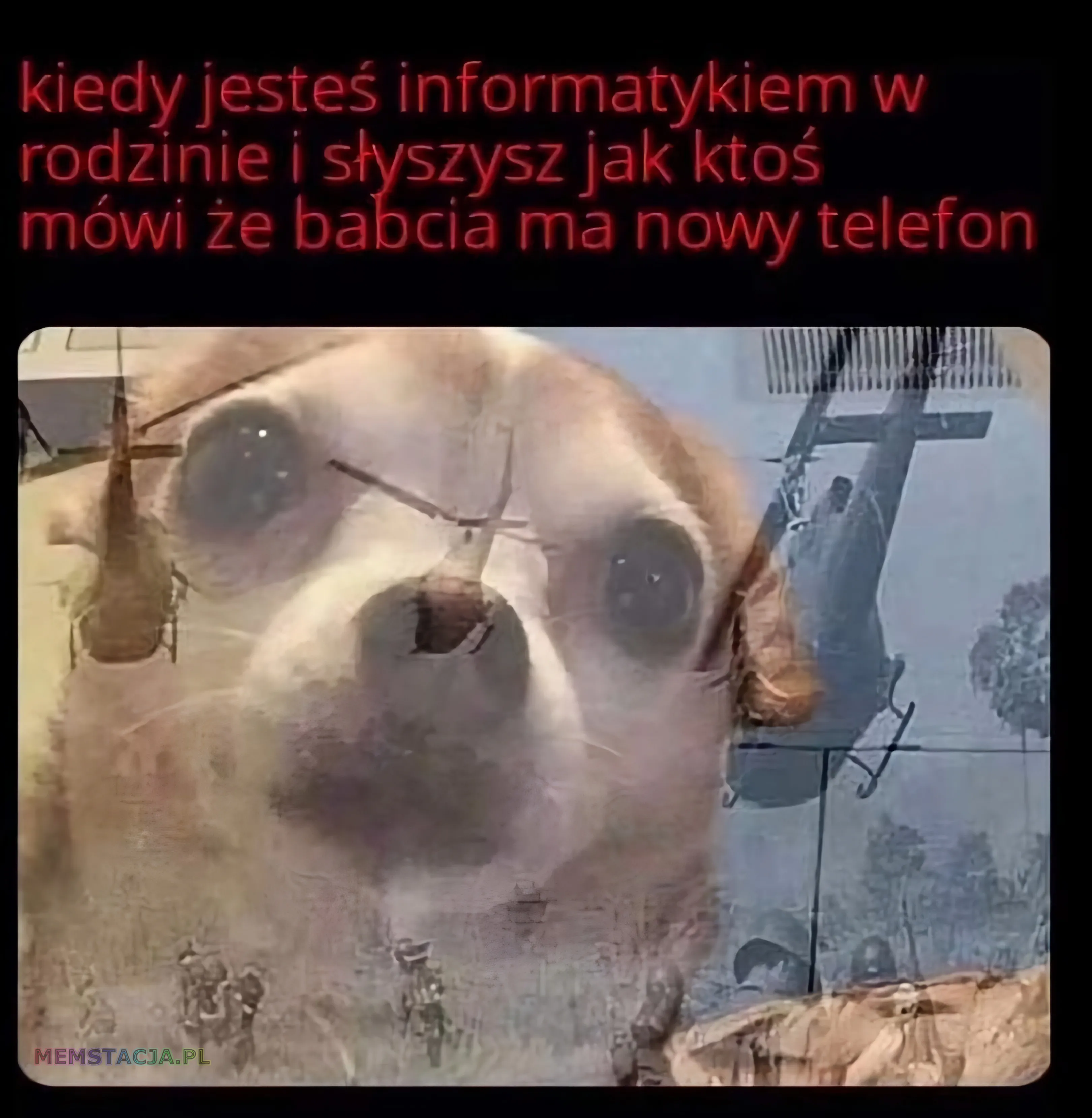 Mem o tytule: Nowy telefon babci 馃く kiedy jeste艣 informatykiem w rodzinie i s艂yszysz jak kto艣 m贸wi 偶e babcia ma nowy telefon: Zdj臋cie psa i w tle helikoptery bojowe