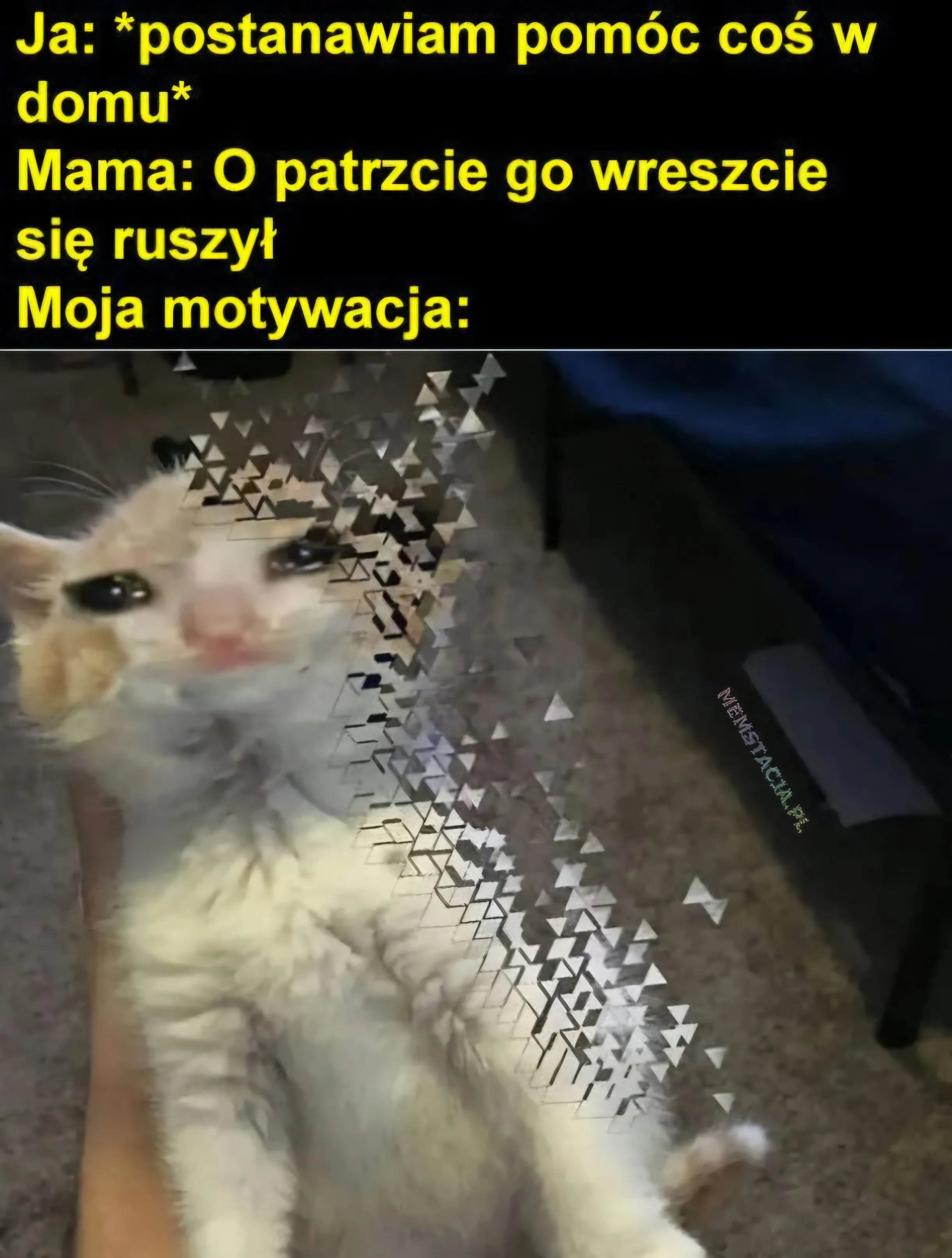 Mem o tytule: No i motywacji już nie ma 😓 Ja: *postanawiam pomóc coś w domu*; Mama: O patrzcie go wreszcie się ruszył; Moja motywacja: Zdjęcie smutnego kotka, który rozpada się na kawałki.