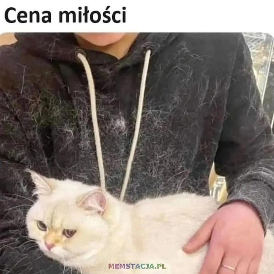 Mem przedstawiający właściciela całego w sierści kota, który siedzi na jego kolanach.