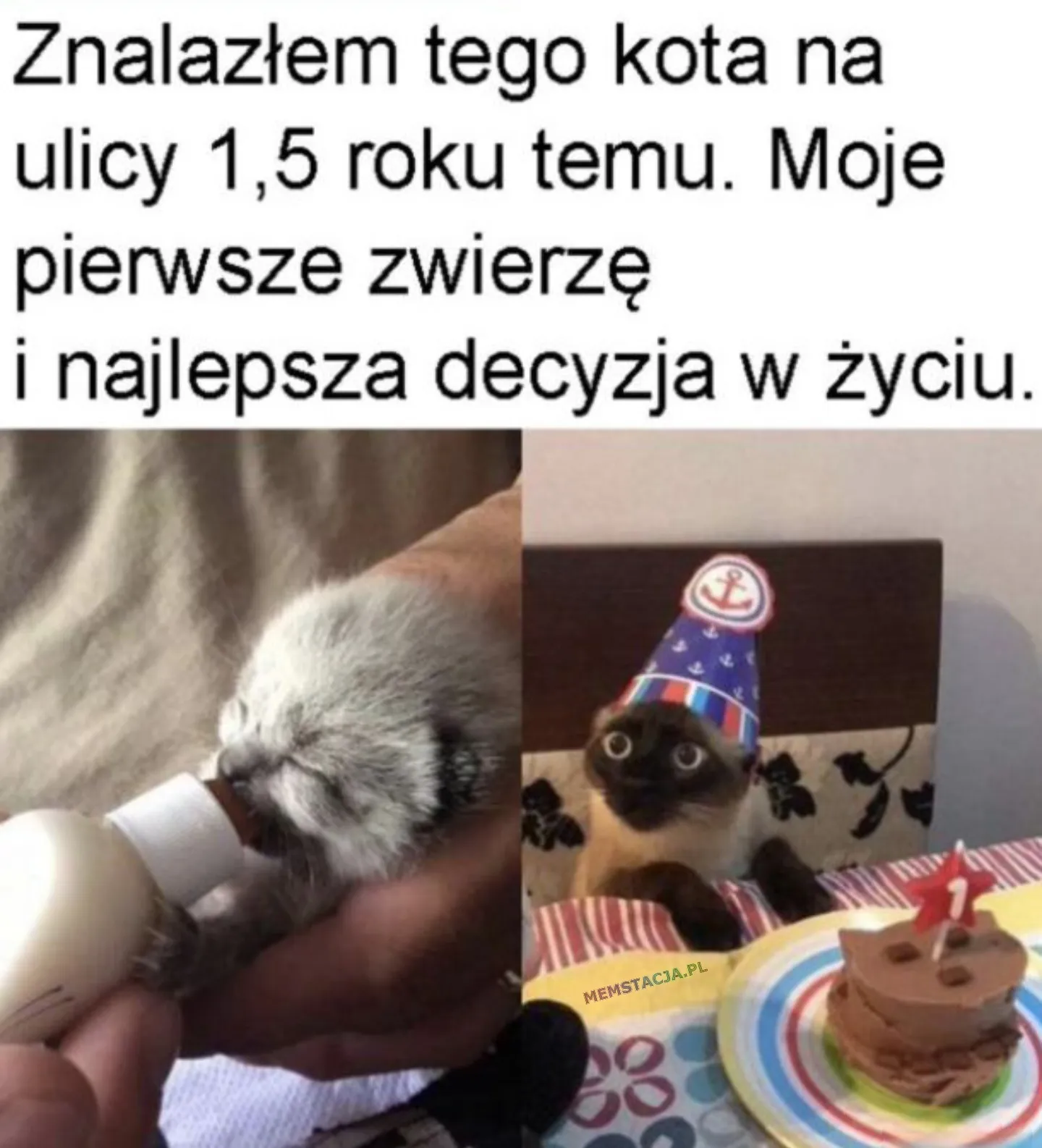Znalazłem tego kota na ulicy 1,5 roku temu. Moje pierwsze zwierzę i najlepsza decyzja w życiu. Zdjęcie małego i dużego kotka.