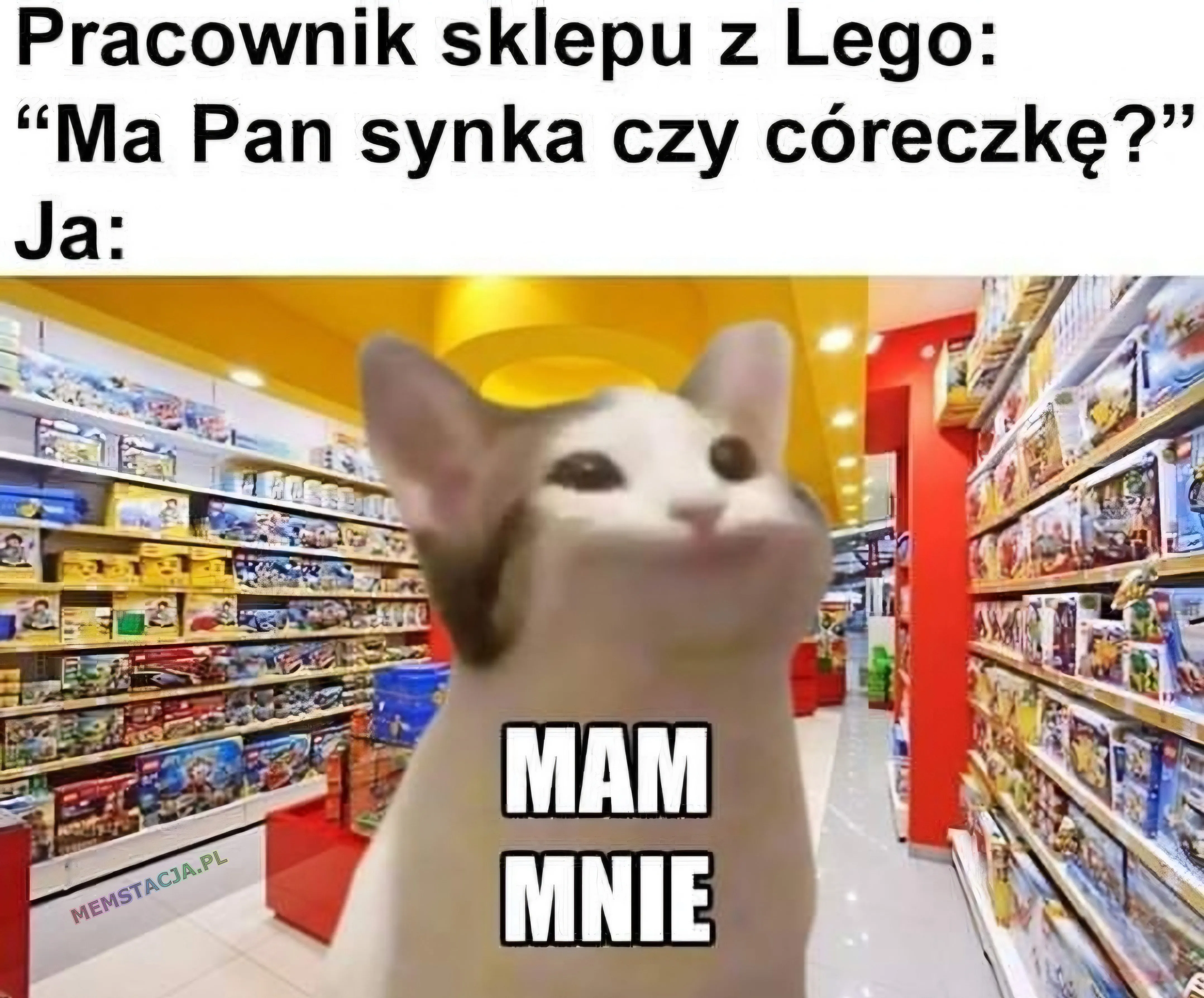 Pracownik sklepu z LEGO: "Ma Pan syna czy córeczkę?"; Ja: Zdjęcie uśmiechniętego kotka mówiącego "mam mnie"