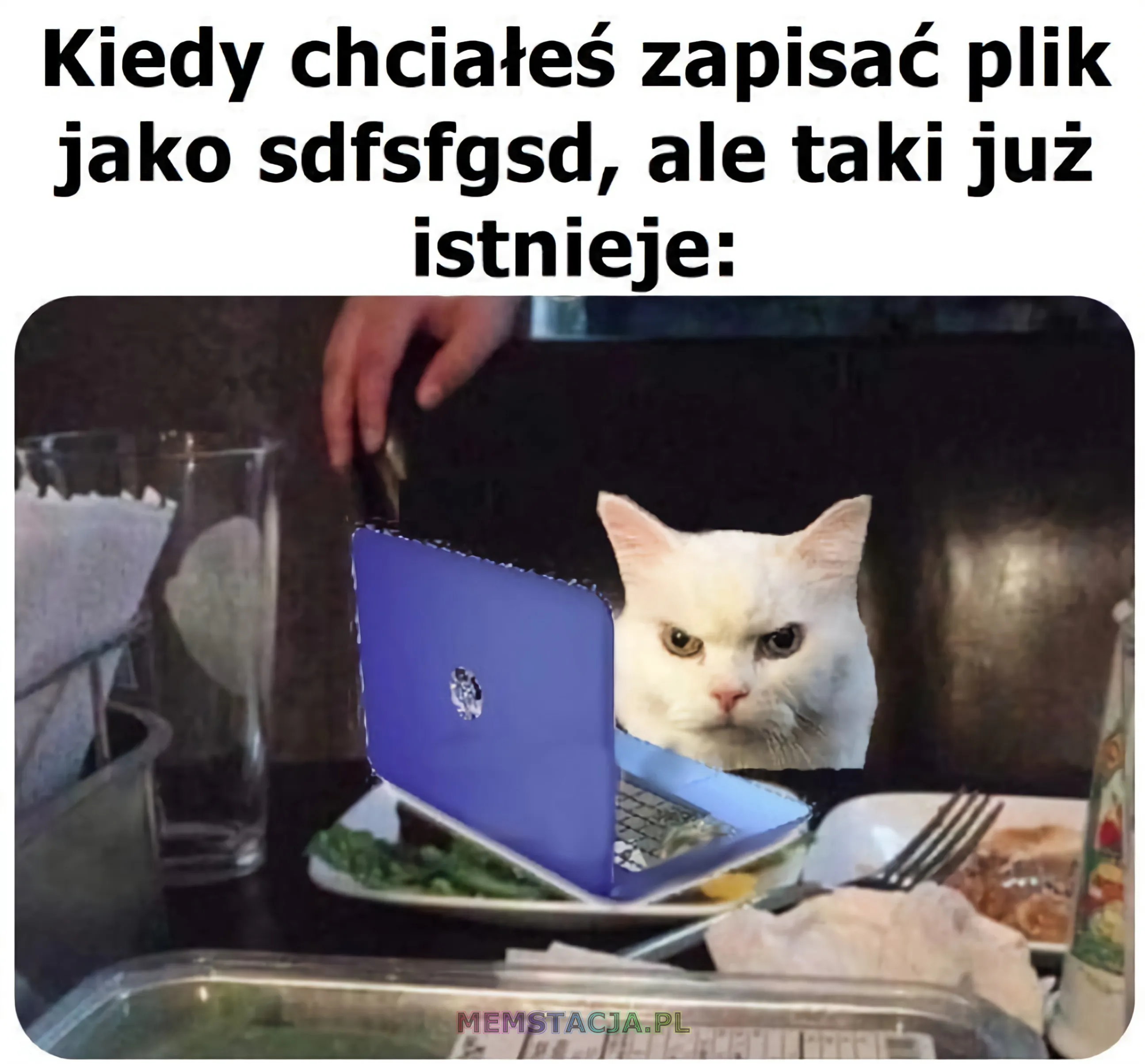 Mem przedstawiający postać kota przy laptopie: 'Kiedy chciałeś zapisać plik jako sdfsfgsd, ale taki plik już istnieje'