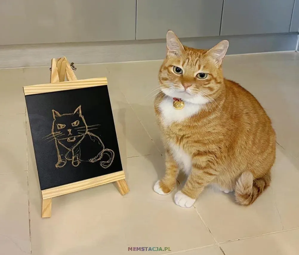 Zdjęcie przedstawiające niezadowolonego kota i jego odwzorowanie w postaci szkicu na tablicy kredowej.
