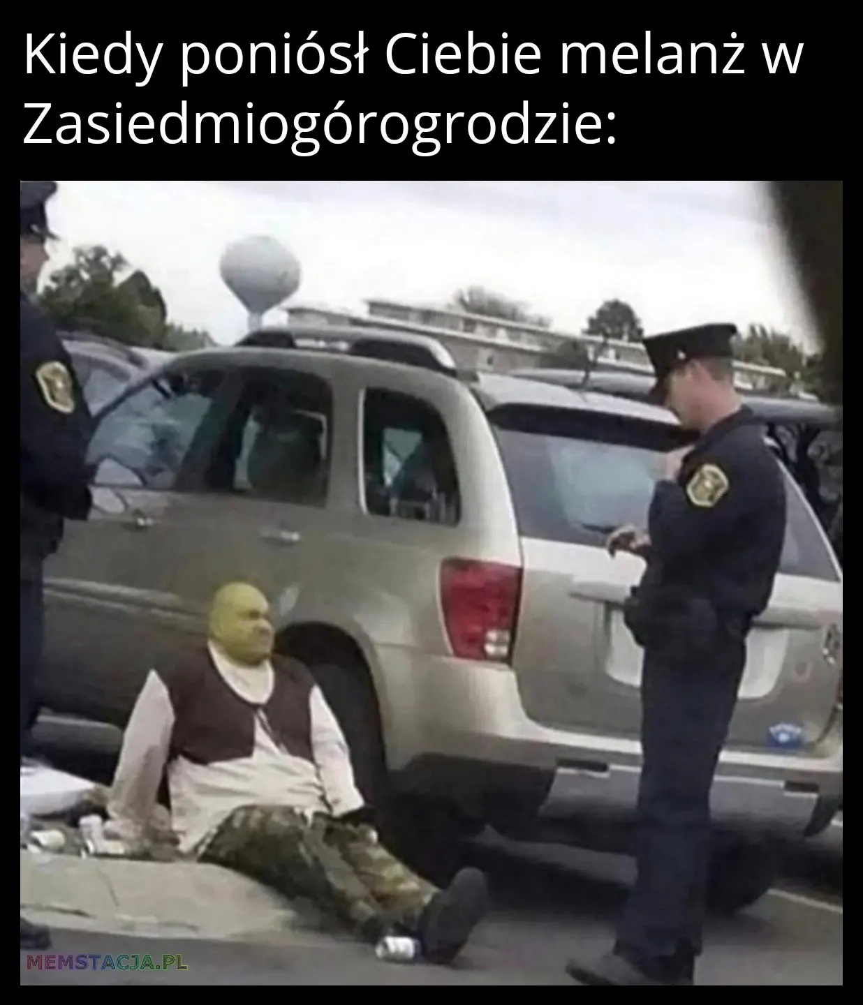 Mem przedstawiający policjantów patrzących na mężczyznę przypominającego Shreka, który siedzi na ziemi.