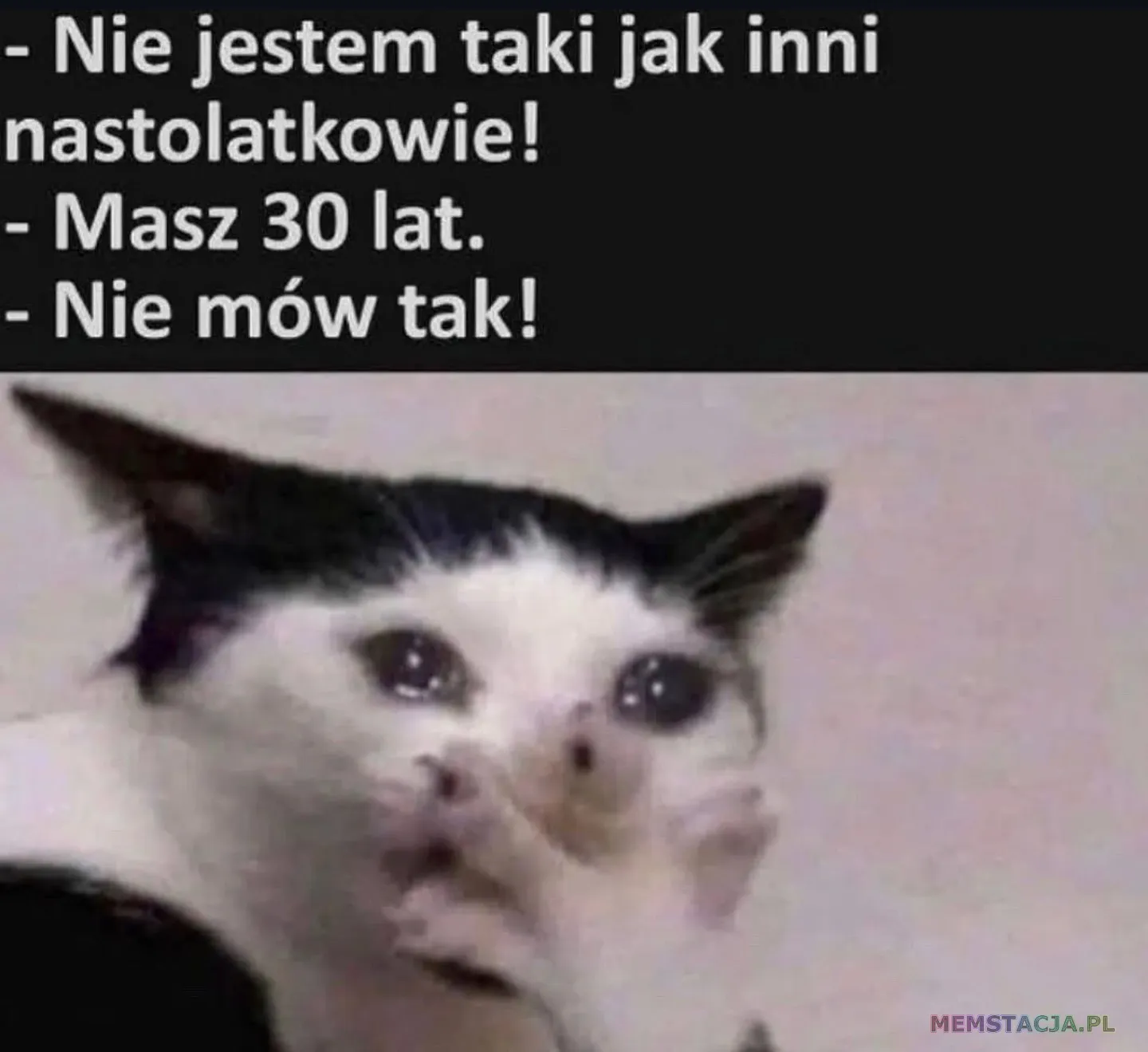 Syn: Nie jestem taki jak inni nastolatkowie!; Mama: Masz 30 lat.; Syn: Nie mów tak!; Kot, który ma łzy w oczach i trzyma łapkę na pyszczku.