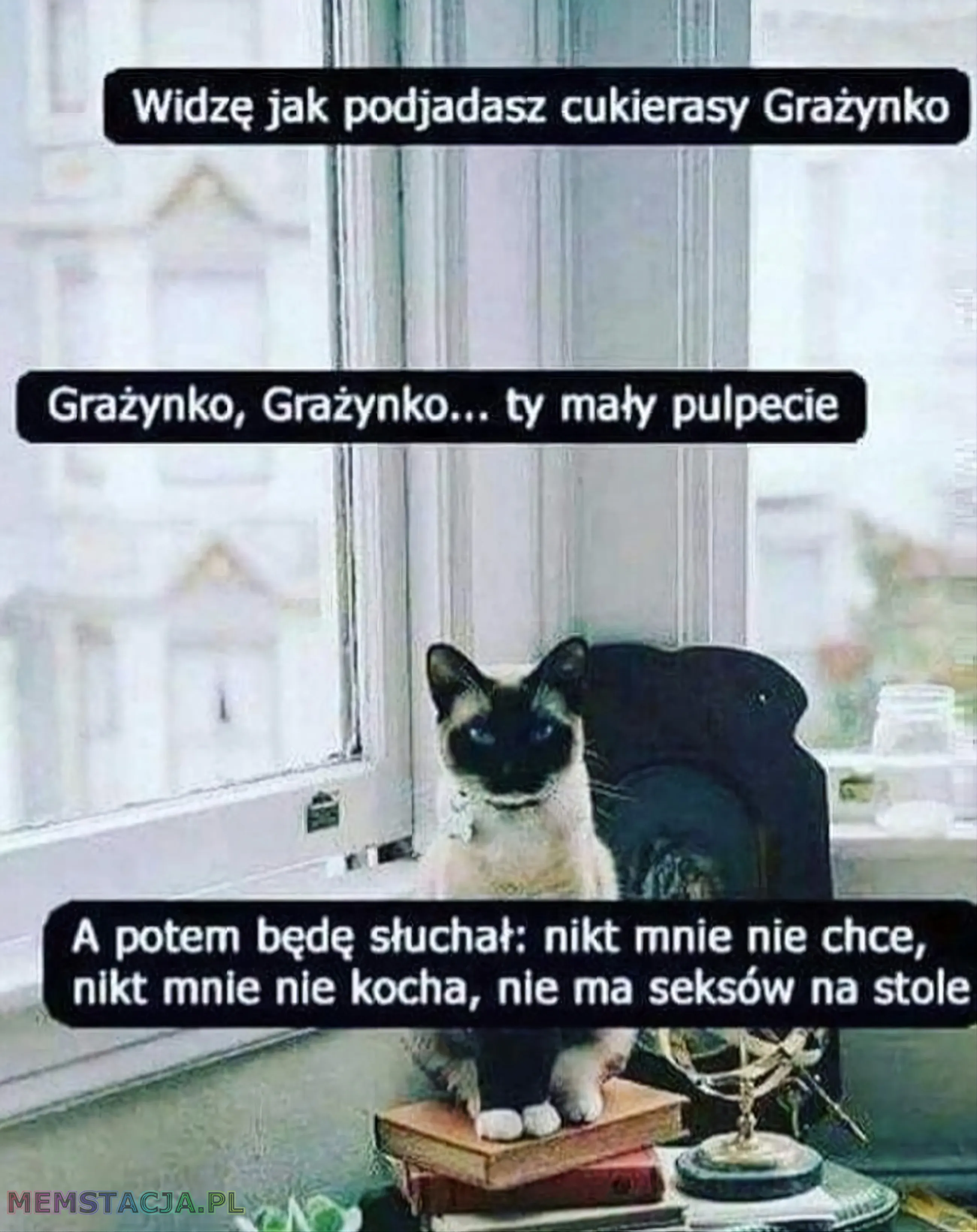 Mem przedstawiający kota patrzącego z wyższością, który mówi: 'Widzę jak podjadasz cukierasy Grażynko. Grażynko, Grażynko... ty mały pulpecie. A potem będę słuchał: nikt mnie nie chce, nikt mnie nie kocha, nie ma seksów na stole'