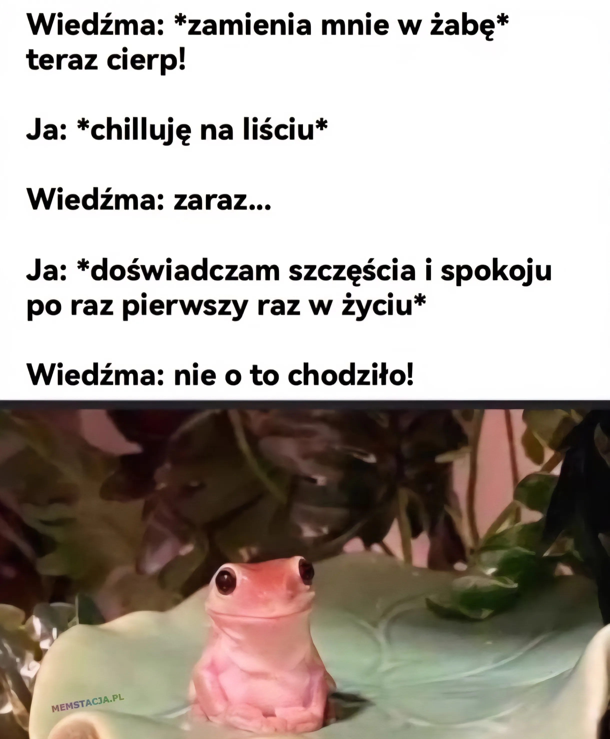 Wiedźma: *zamienia mnie w żabę* teraz cierp! Ja: *chilluję na liściu*  Wiedźma: zaraz ...  Ja: *doświadczam szczęścia i spokoju po raz pierwszy raz w życiu* Wiedźma: nie o to chodziło! Zdjęcie zadowolonej żaby na liściu.