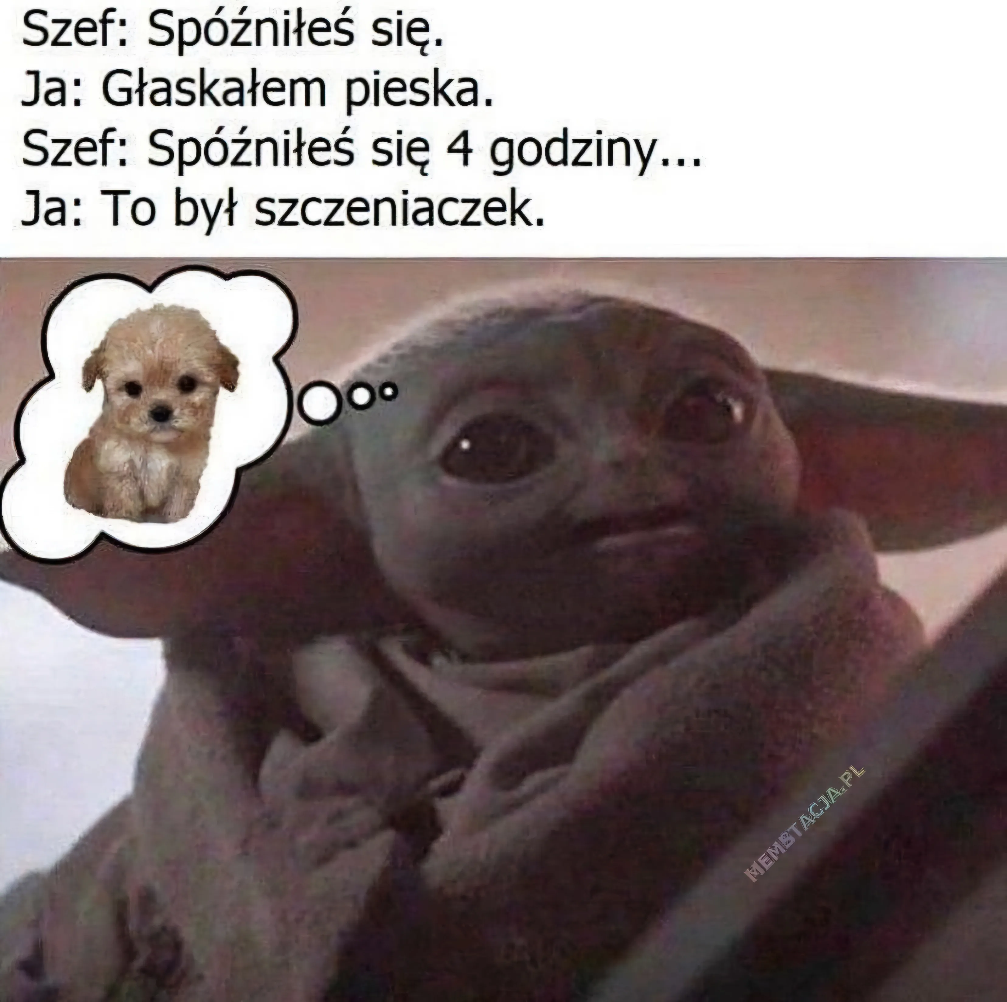 Mem o tytule: Moja wymówka na spóźnienie, gdy widzę szczeniaczka 😜 Obrazek przedstawiający Baby Yodę, który wydaje się myśleć o małym szczeniaczku, pokazanym w dymku myślowym. Na czarnym tle dialog między szefem a pracownikiem na temat długiego spóźnienia spowodowanego przez szczeniaczka.