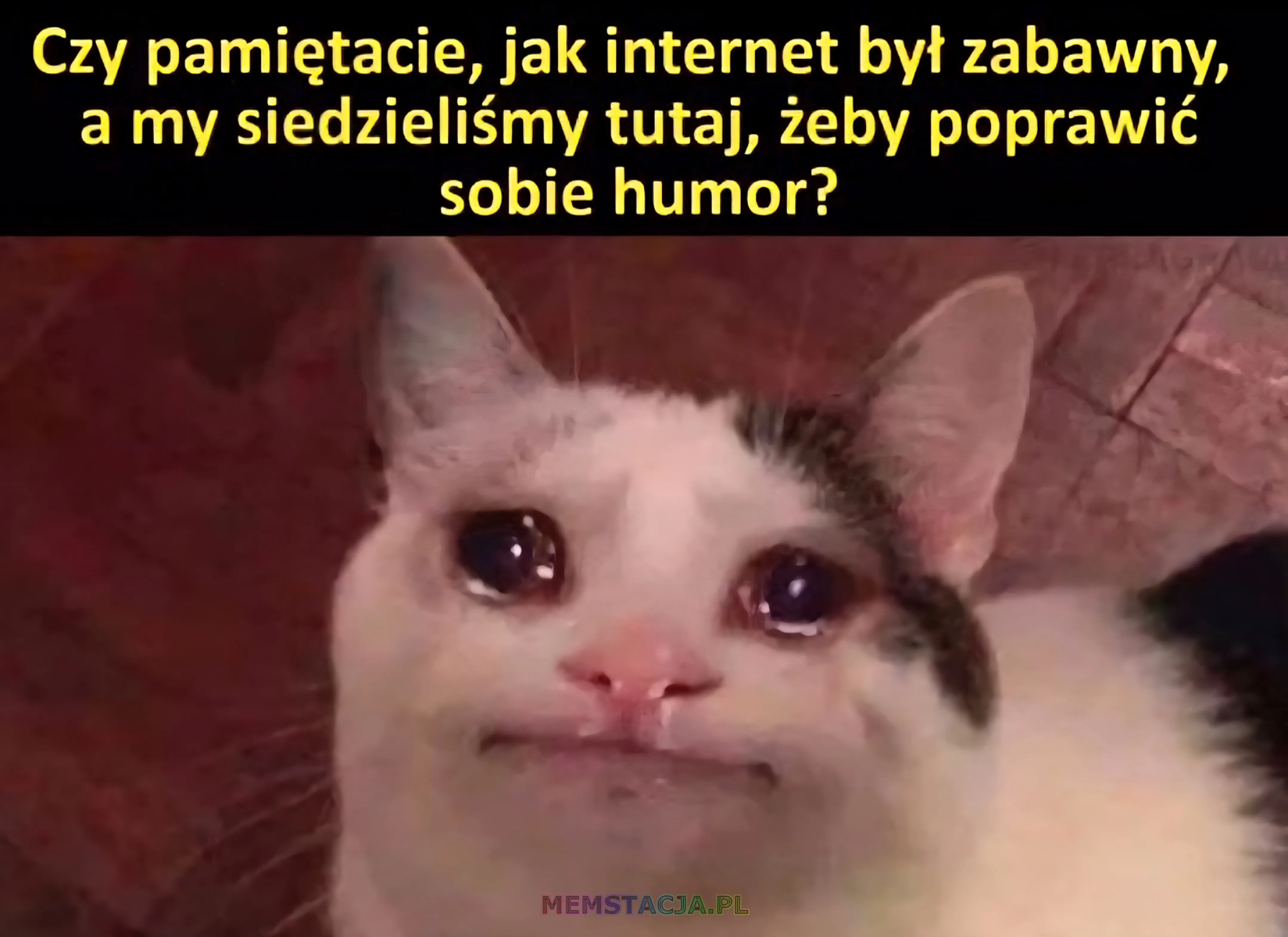 Mem o tytule: Kiedy艣 to by艂o... Internet bez TikToka i cringe'u! 馃槨 Smutny, p艂acz膮cy kot z du偶ymi, b艂yszcz膮cymi oczami, patrz膮cy przed siebie, z napisem u g贸ry: "Czy pami臋tacie, jak internet by艂 zabawny, a my siedzieli艣my tutaj, 偶eby poprawi膰 sobie humor?".