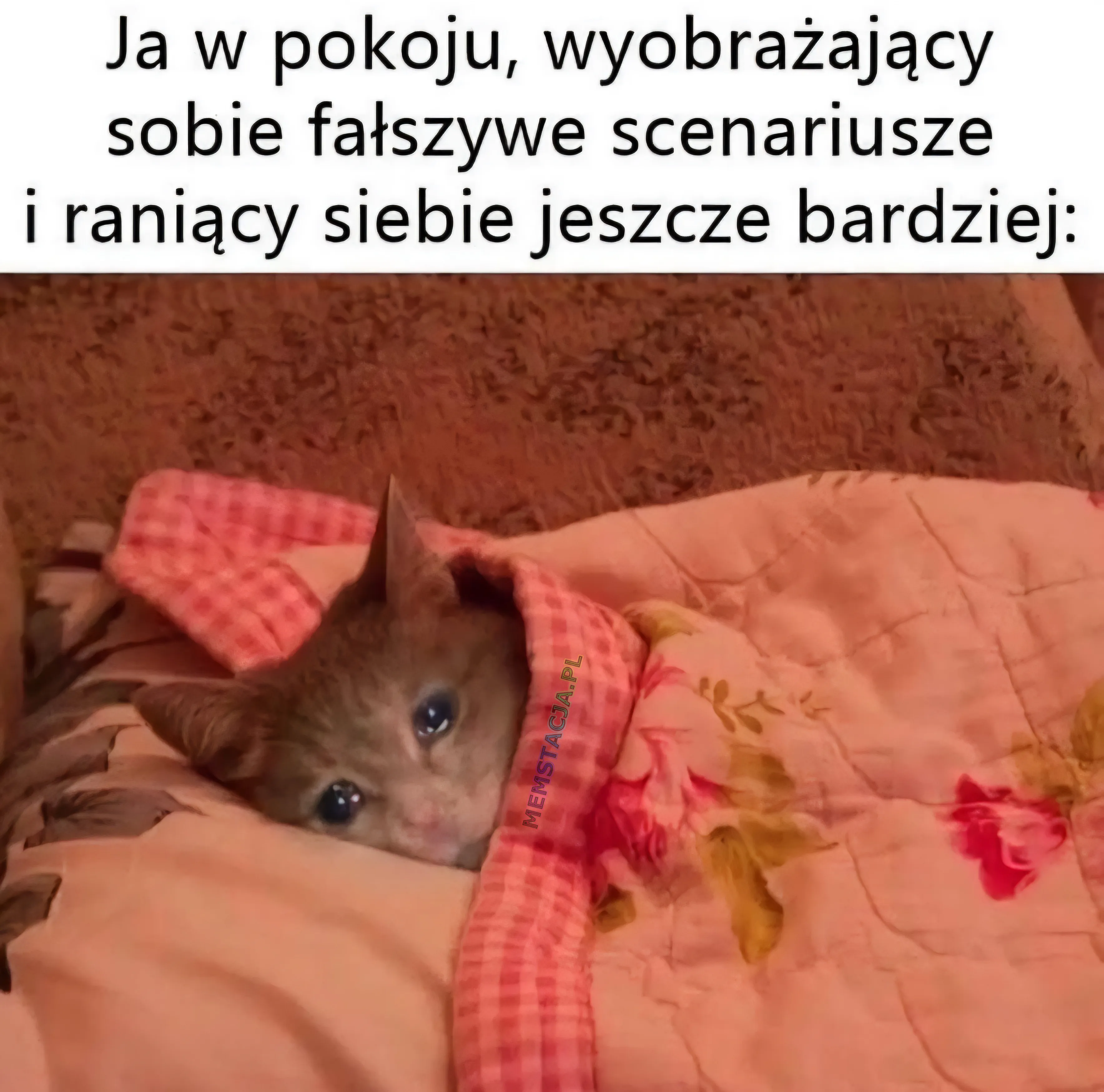Ja w pokoju, wyobrażający sobie fałszywe scenariusze i raniący siebie jeszcze bardziej: Zdjęcie płaczącego kotka w łóżku.