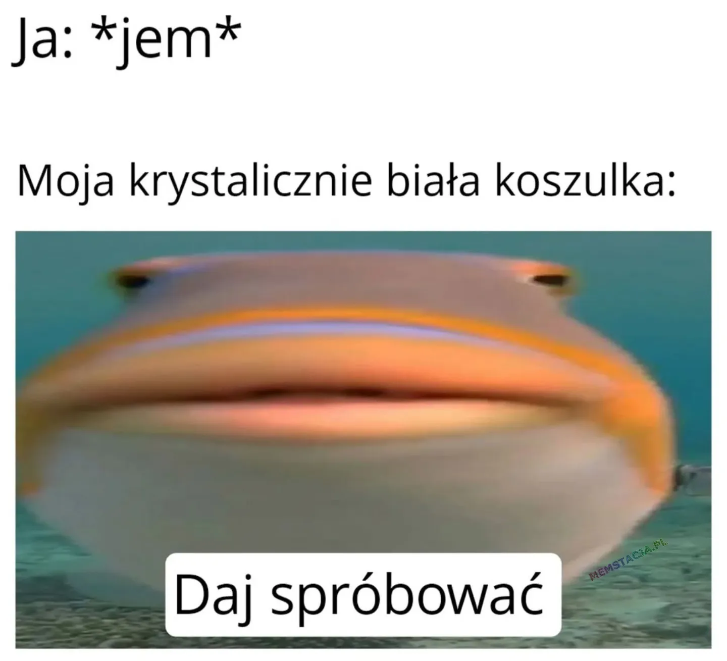Ja: *jem* Moja krystalicznie biała koszulka:  Daj spróbować.