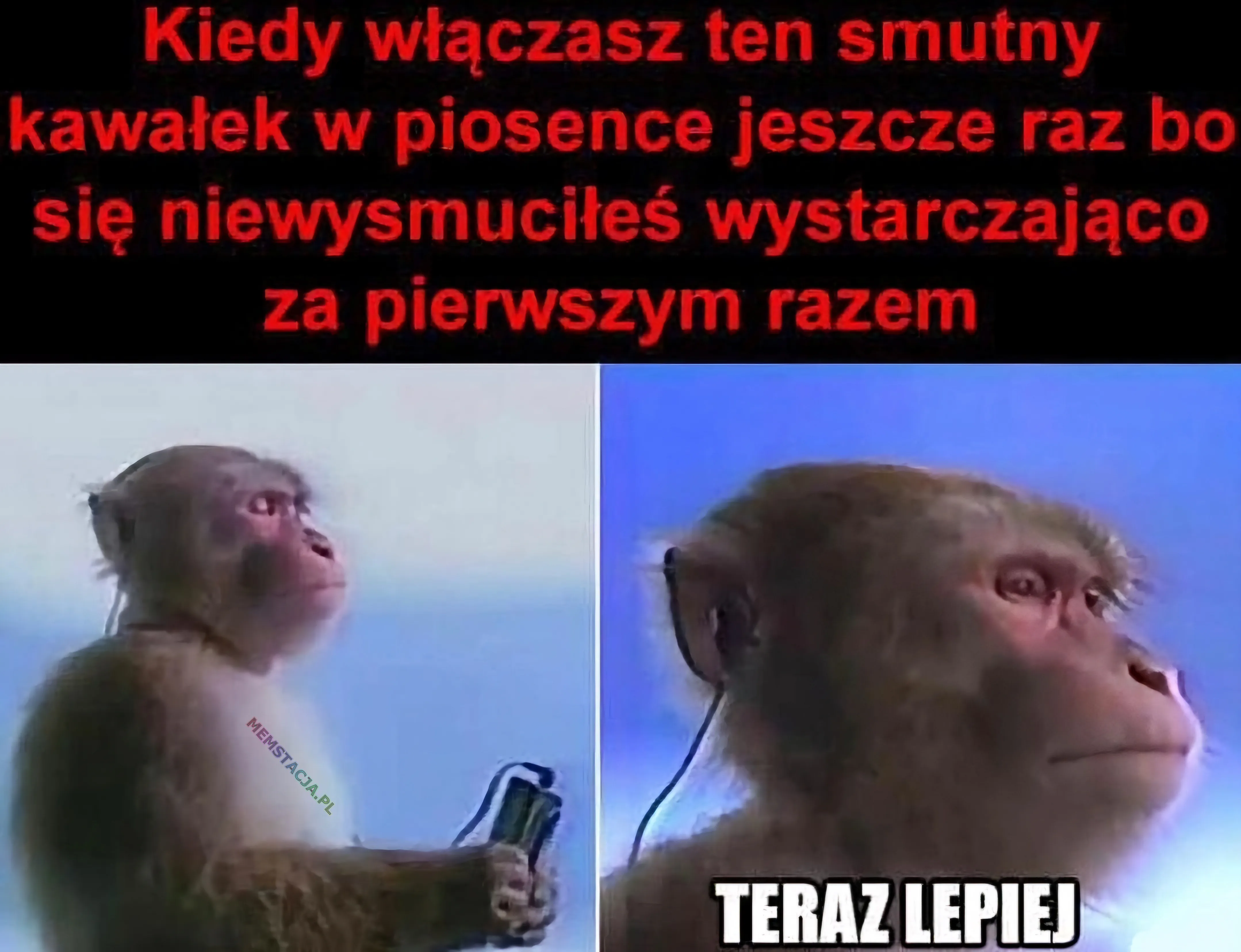 Kiedy włączasz ten smutny kawałek w piosence jeszcze raz bo się niewysmuciłeś wystarczająco za pierwszym razem: Zdjęcie małpki wsłuchującej się w muzykę lecącą przez słuchawki, która mówi "Teraz lepiej"