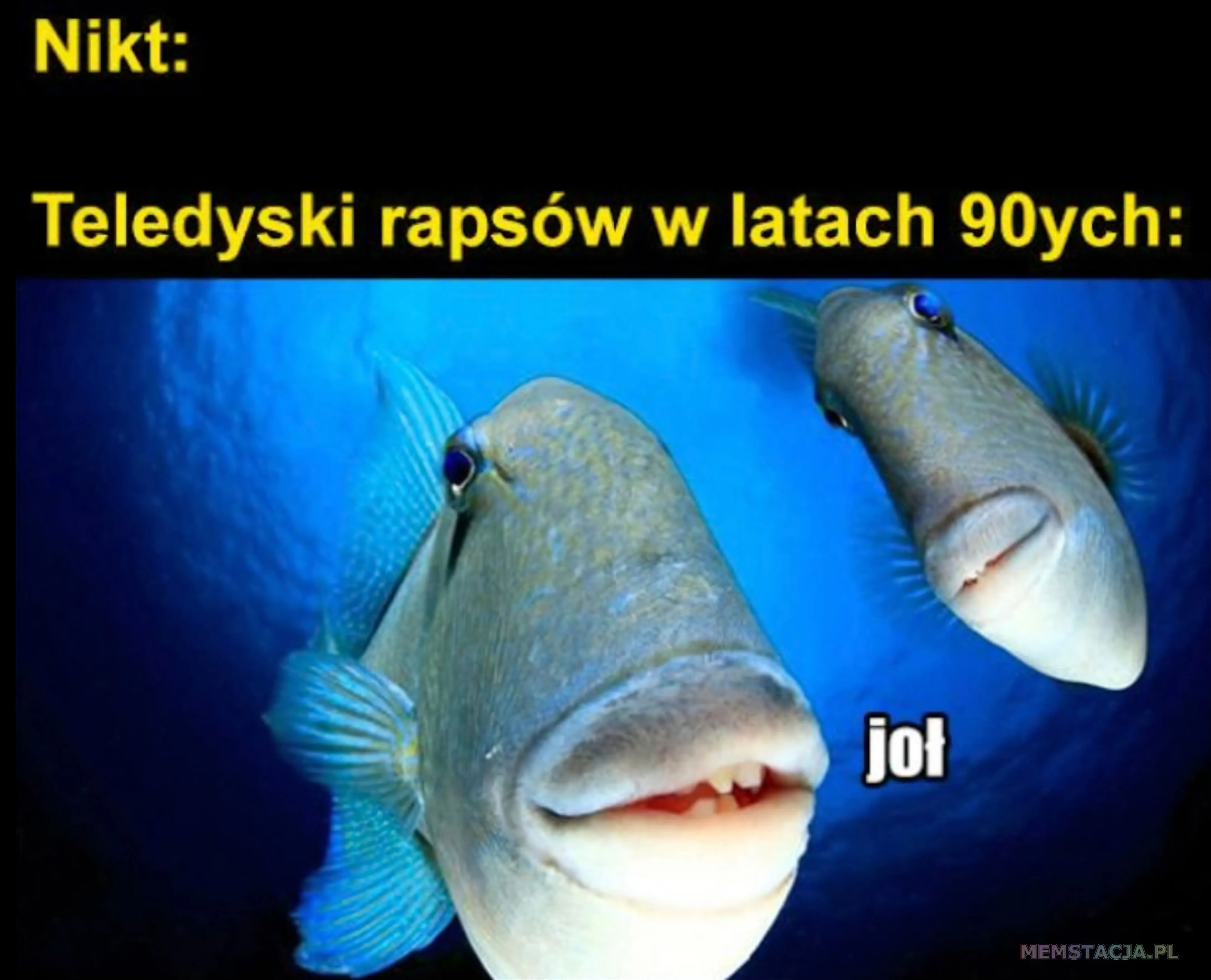 Zdjęcie przedstawiające rybki mówiące joł: 'Nikt: Teledyski rapsów w latach 90ych'