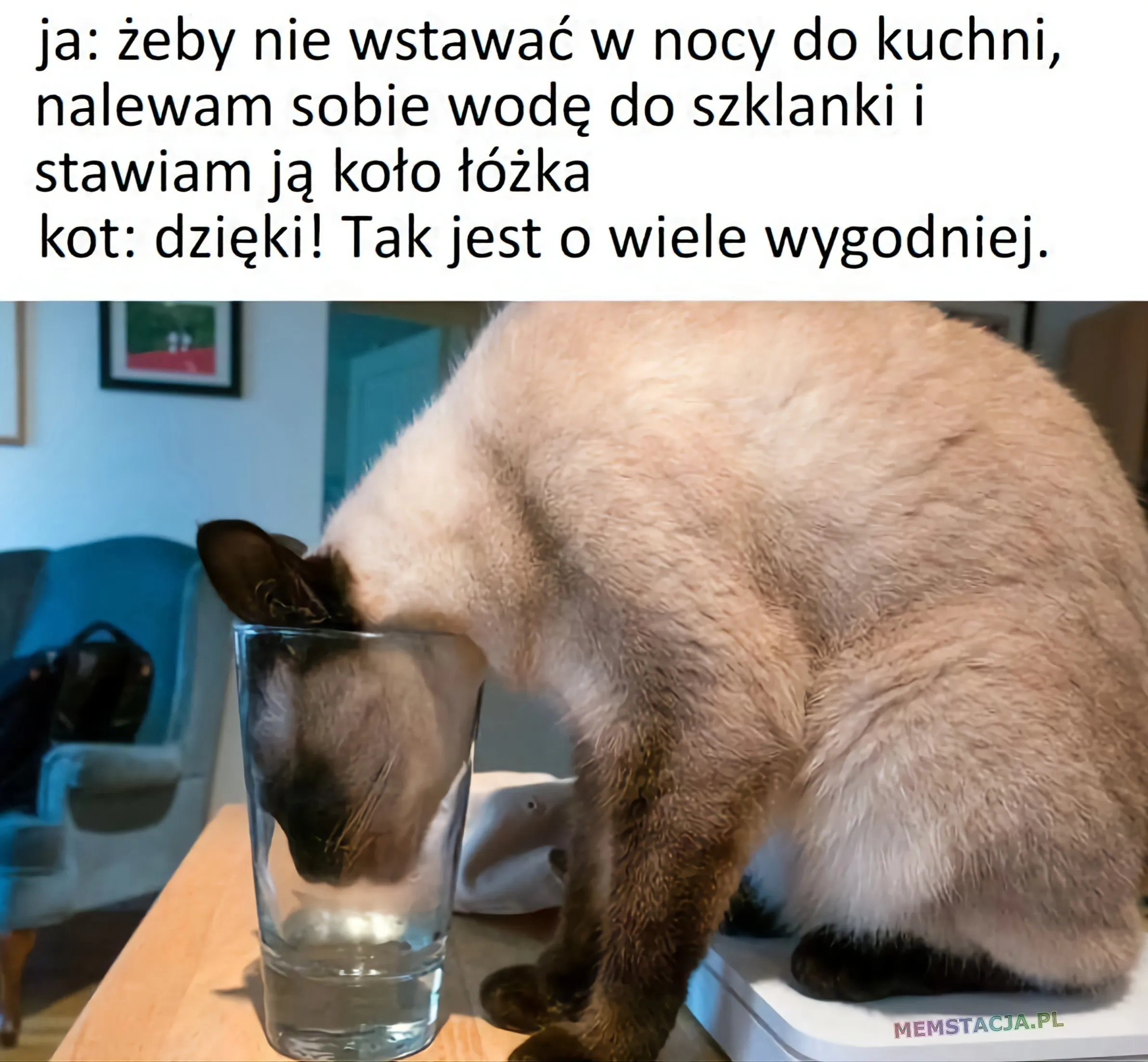 Kot pijący wodę ze szklanki: 'ja: żeby nie wstawać w nocy do kuchni, nalewam sobie wodę do szklanki i stawiam ją koło łóżka'; 'kot: dzięki! Tak jest o wiele wygodniej.'
