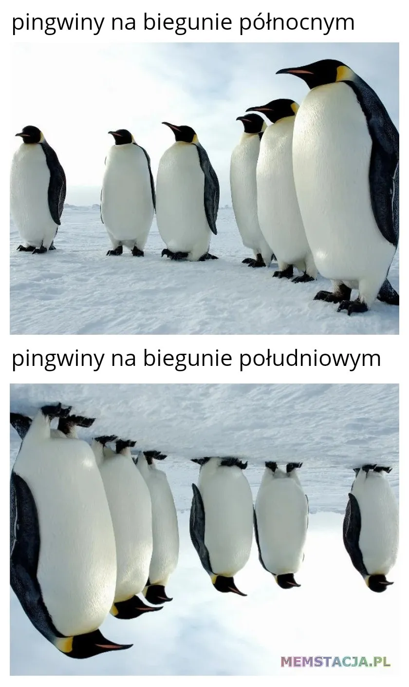 Mem przedstawiający pingwiny na biegunie północnym i południowym.
