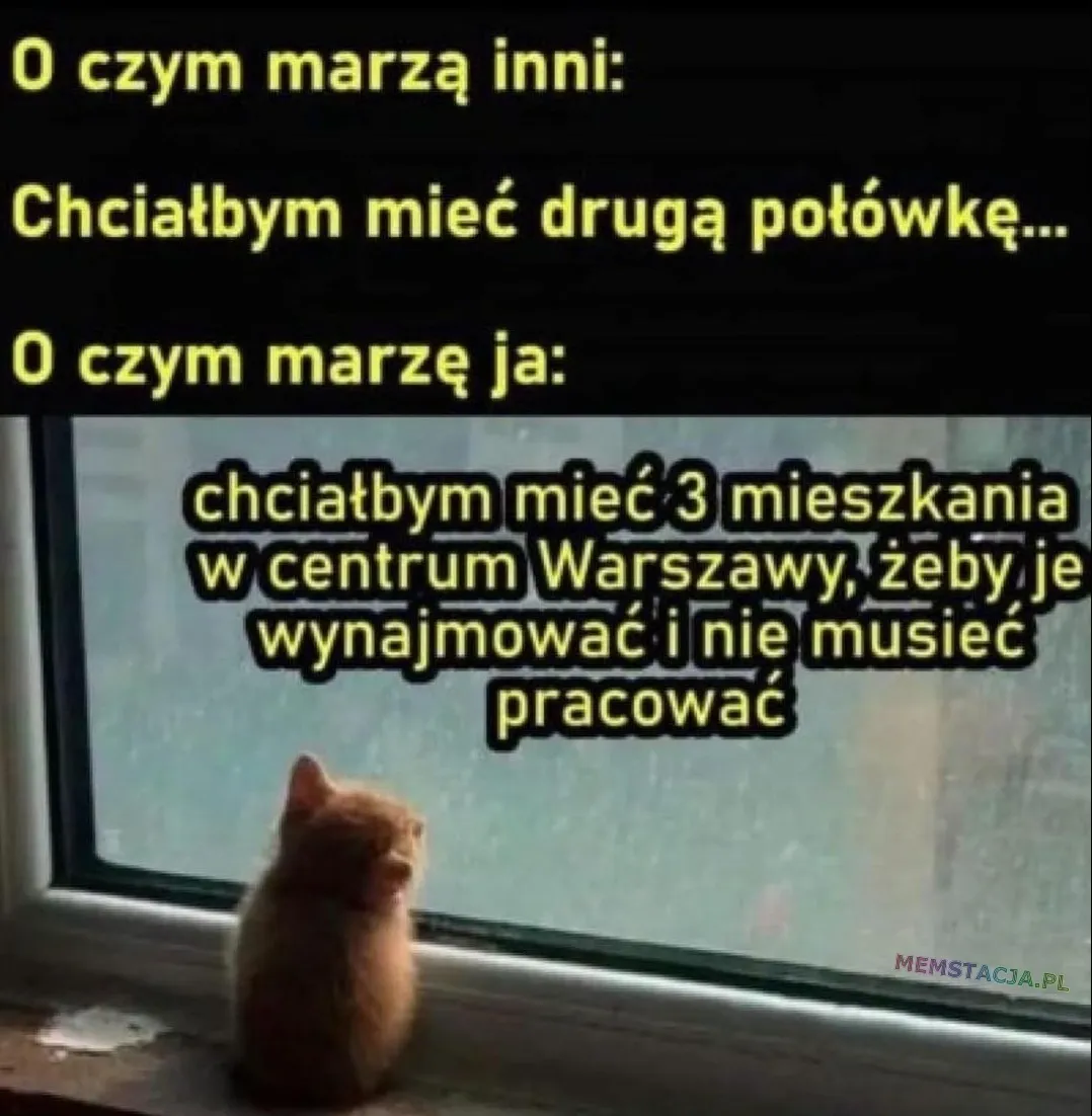 O czym marzą inni: Chciałbym mieć drugą połówkę...; O czym marzę ja: Zdjęcie kotka wyglądającego przez okno. Chciałbym mieć 3 mieszkania w centrum Warszawy, żeby je wynajmować i nie musieć pracować