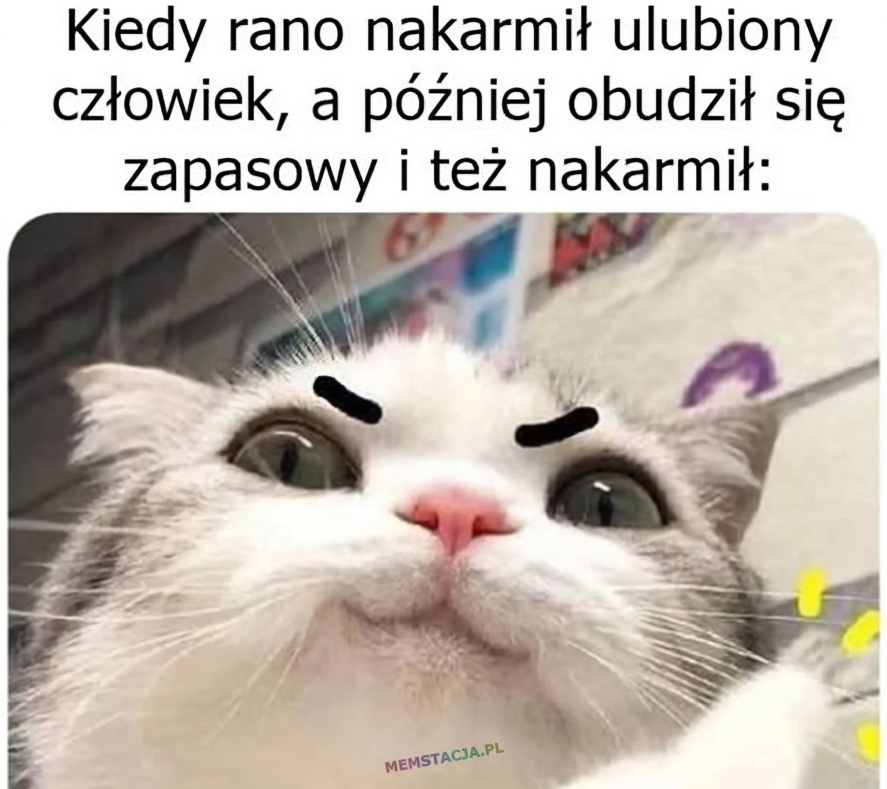 Mem o tytule: Cwany kotek 😜 Kiedy rano nakarmił ulubiony człowiek, a później obudził się zapasowy i też nakarmił. Zdjęcie uśmiechniętego kotka.