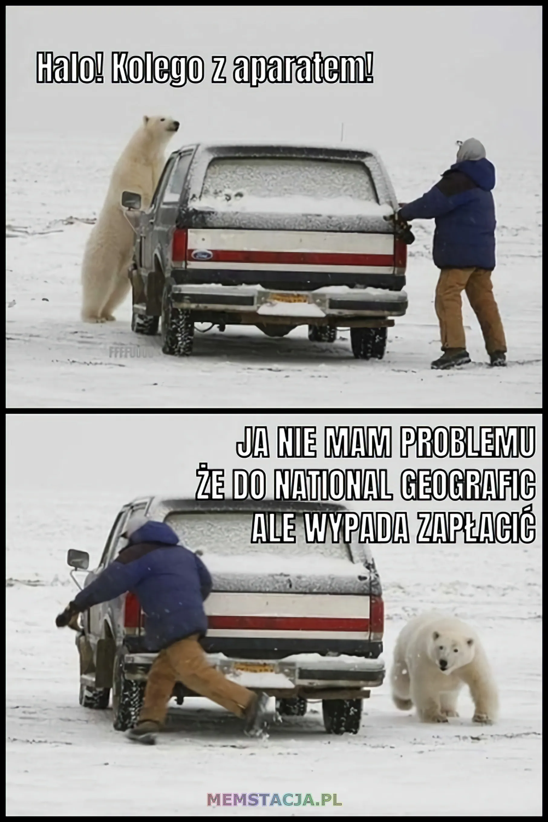 Mem przedstawiający człowieka, który ucieka przed misiem polarnym: 'Halo! Kolego z aparatem! Ja nie mam problemu, że do National Geografic, ale wypada zapłacić'