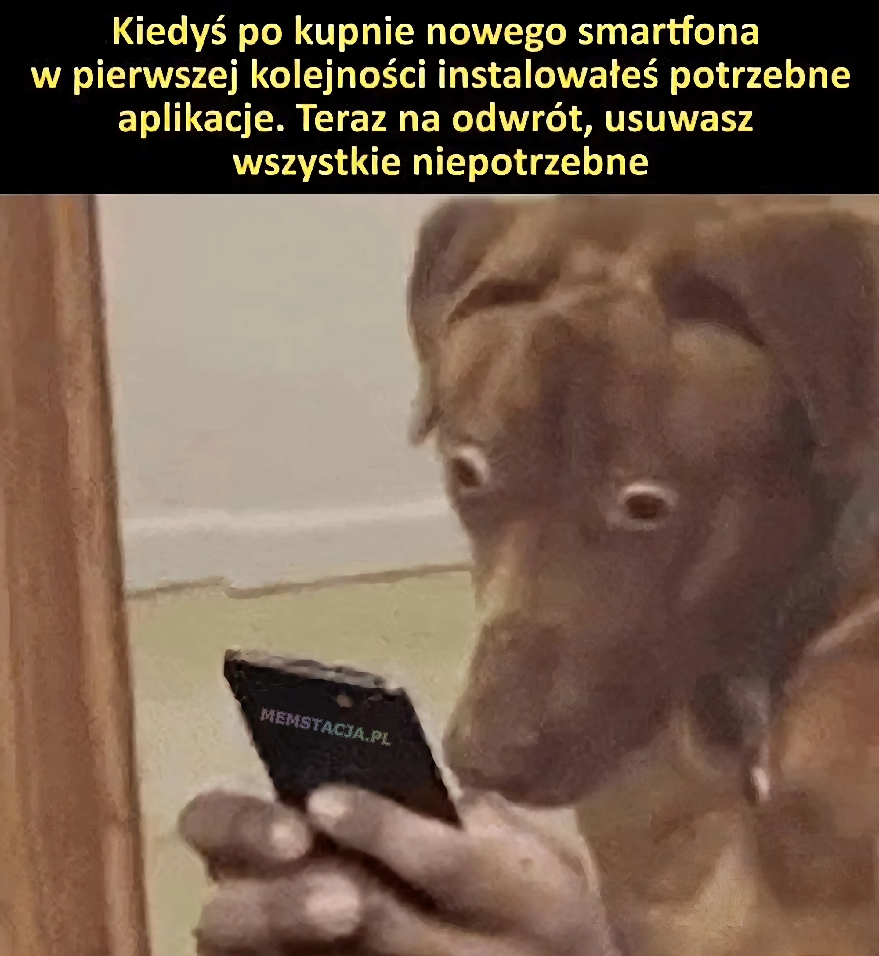 Kiedyś po kupnie nowego smartfona w pierwszej kolejności instalowałeś potrzebne aplikacje. Teraz na odwrót, usuwasz wszystkie niepotrzebne: Zdjęcie mocno zdziwionego psa, który trzyma telefon komórkowy.