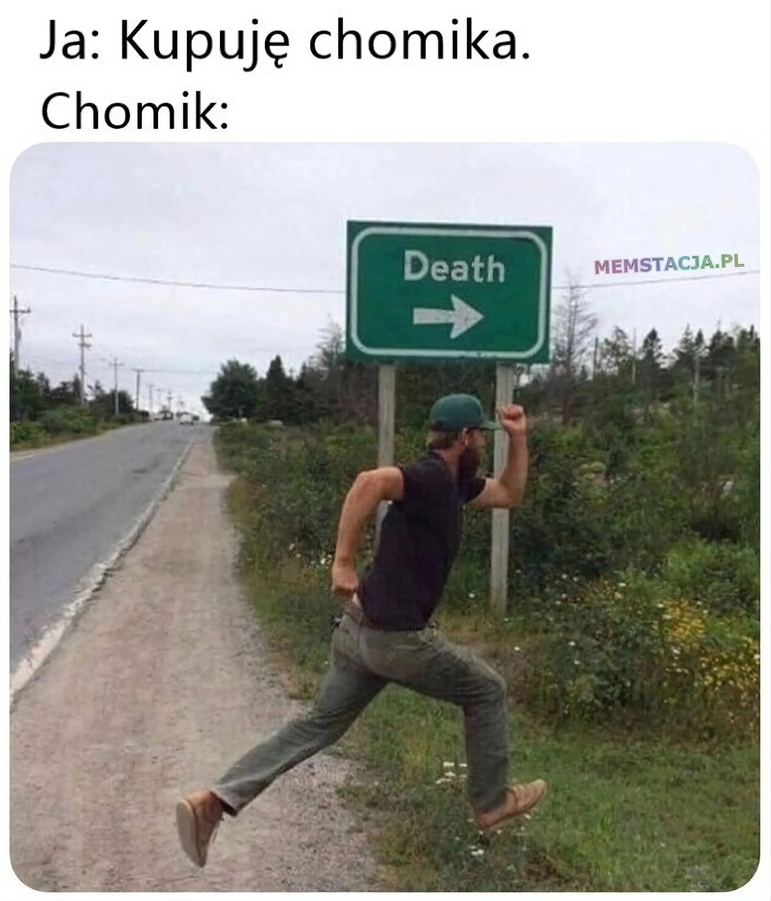 Historia chomika