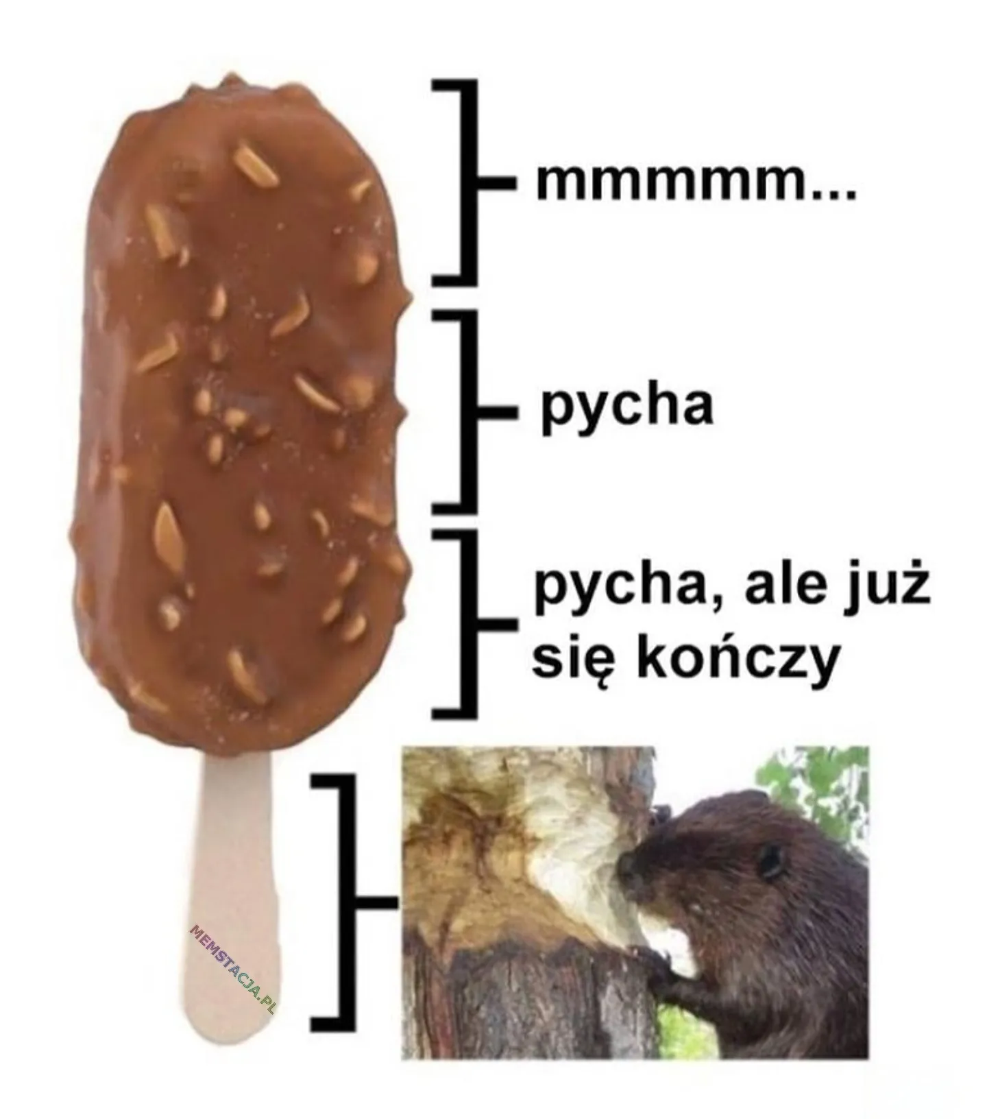 Etapy jedzenia loda: 1. mmmmm... 2. pycha pycha 3. ale już się kończy