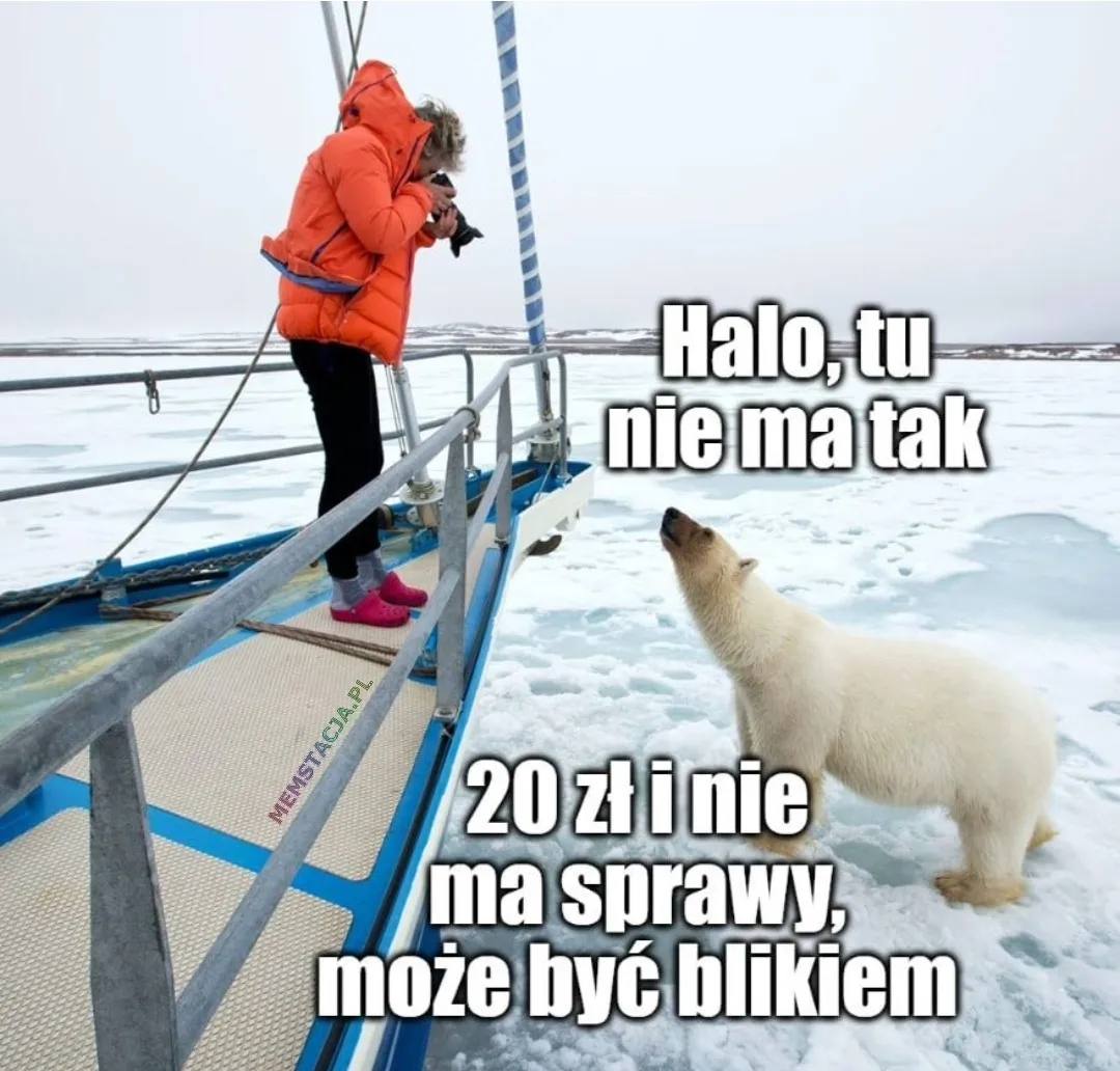 Mem przedstawiający fotografa, który robi zdjęcie niedźwiedziowi polarnemu: 'Hallo, tu nie ma tak. Dwadzieścia złotych i nie ma sprawy, może być blikiem'