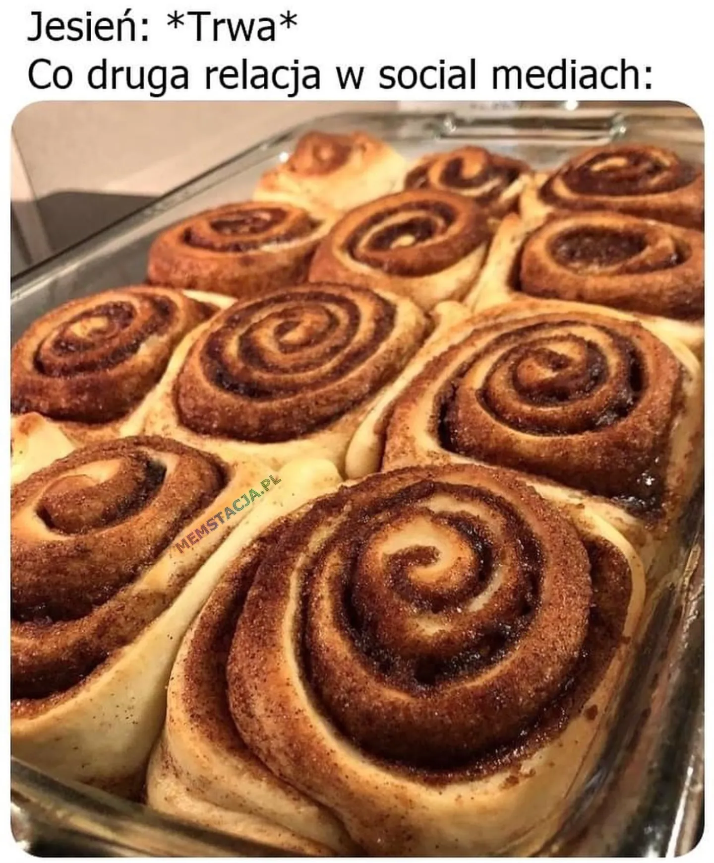 Jesień: *Trwa* Co druga relacja w social mediach: Zdjęcie jesiennych ciastek cynamonowych.