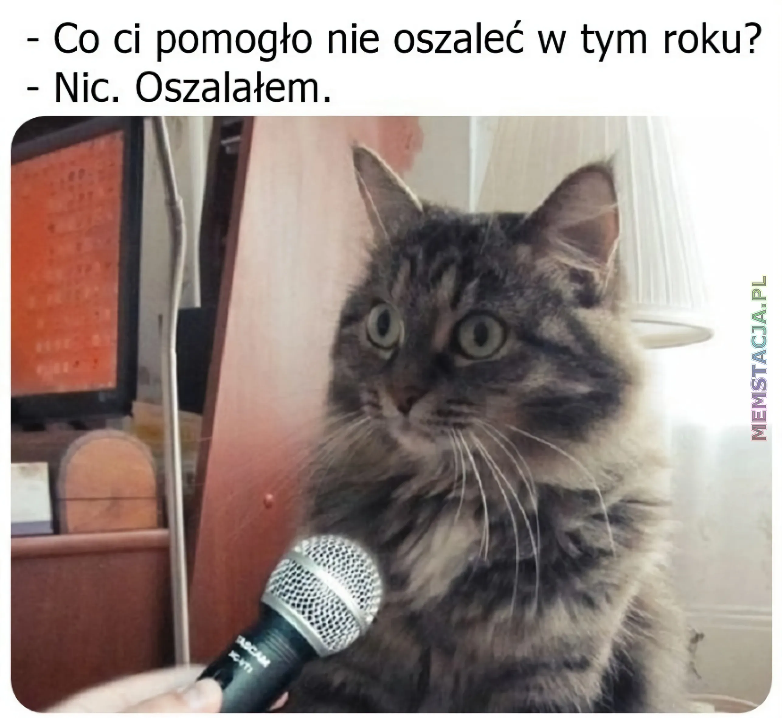 Mem przedstawiający postać kota odpowiadającego do mikrofonu: '- Co ci pomogło nie oszaleć w tym roku?', '- Nic. Oszalałem'