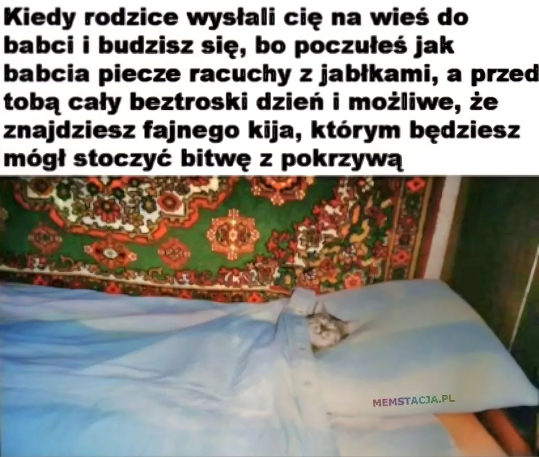 Kiedy rodzice wystali cię na wieś do babci i budzisz się, bo poczułeś jak babcia piecze racuchy z jabłkami, a przed tobą cały beztroski dzień! możliwe, że znajdziesz fajnego kija, którym będziesz mógł stoczyć bitwę z pokrzywą. Mały uśmiechnięty kotek przykryty kołdrą.