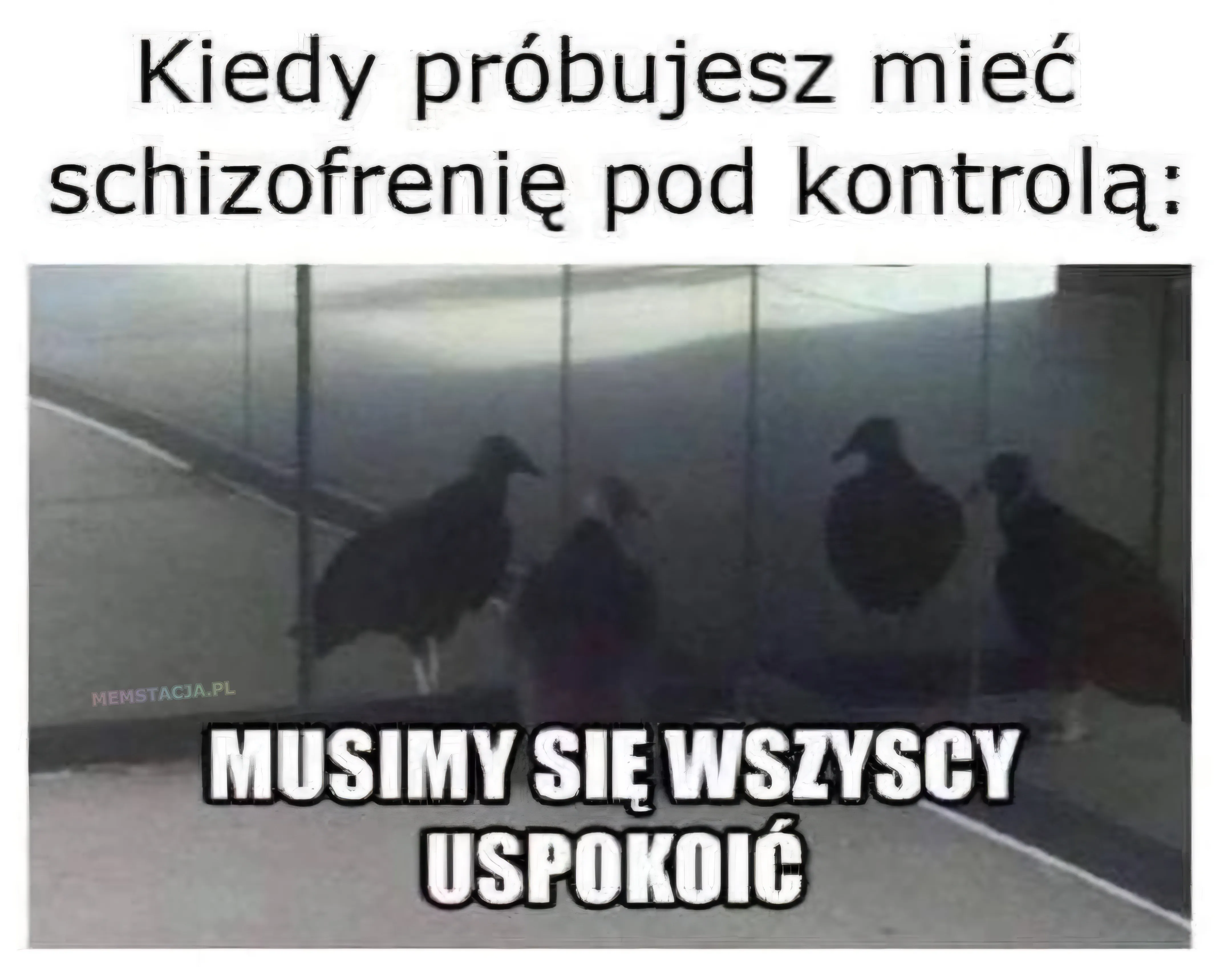 Kiedy próbujesz mieć schizofrenię pod kontrolą: Ptak spoglądający na swoje odbicia w lustrze i mówiący "Musimy się wszyscy uspokoić"