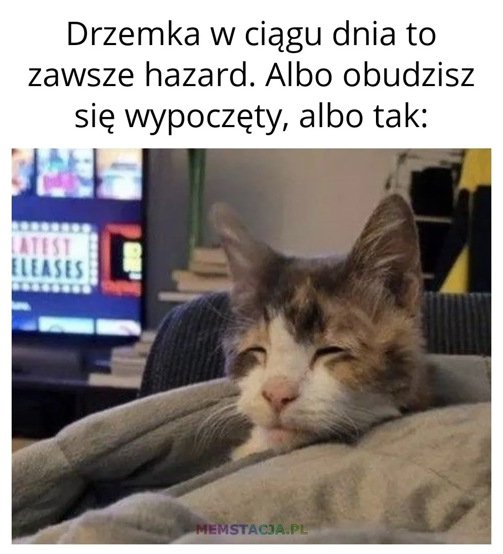 Mem przedstawiający zaspanego kotka: 'Drzemka w ciągu dnia to zawsze hazard. Albo obudzisz się wypoczęty, albo tak'