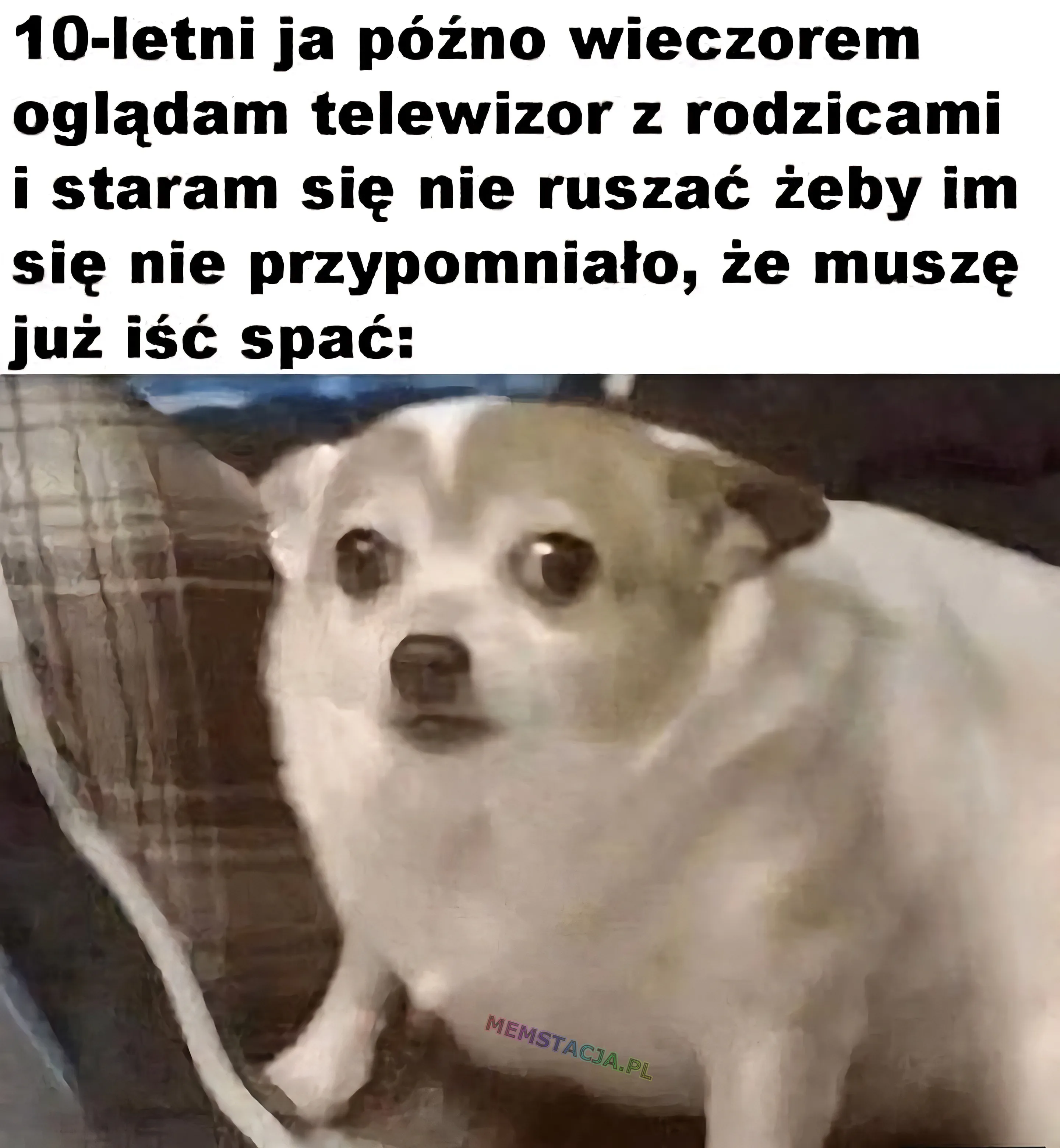 10-letni ja późno wieczorem oglądam telewizor z rodzicami i staram się nie ruszać żeby im się nie przypomnialo, że muszę już iść spać.