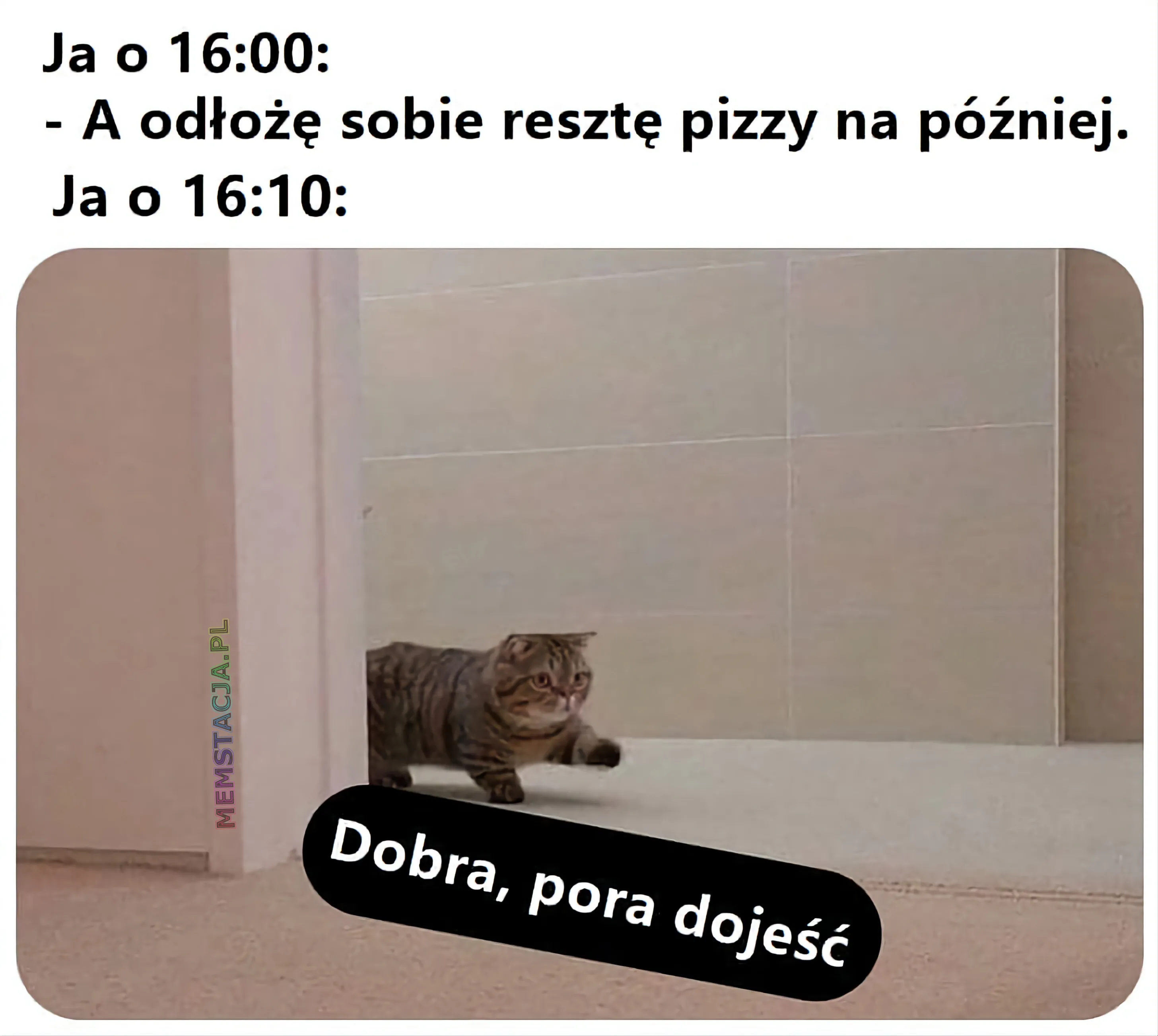 Obrazek przedstawiający idącego kotka: 'Ja o 16:00 - A odłożę sobie resztę pizzy na później; Ja o 16:10 - Dobra, pora dojeść'
