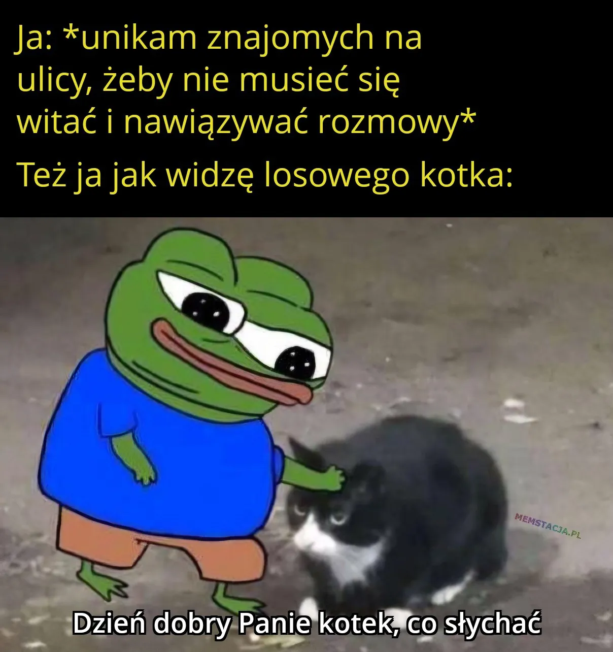 Ja: *unikami znajomych na ulicy, żeby nie musieć się witać i nawiązywać rozmowy*; Też ja jak widzę losowego kotka: Postać głaszcząca losowego kotka, która także mówi - Dzień dobry Panie kotek, co słychać