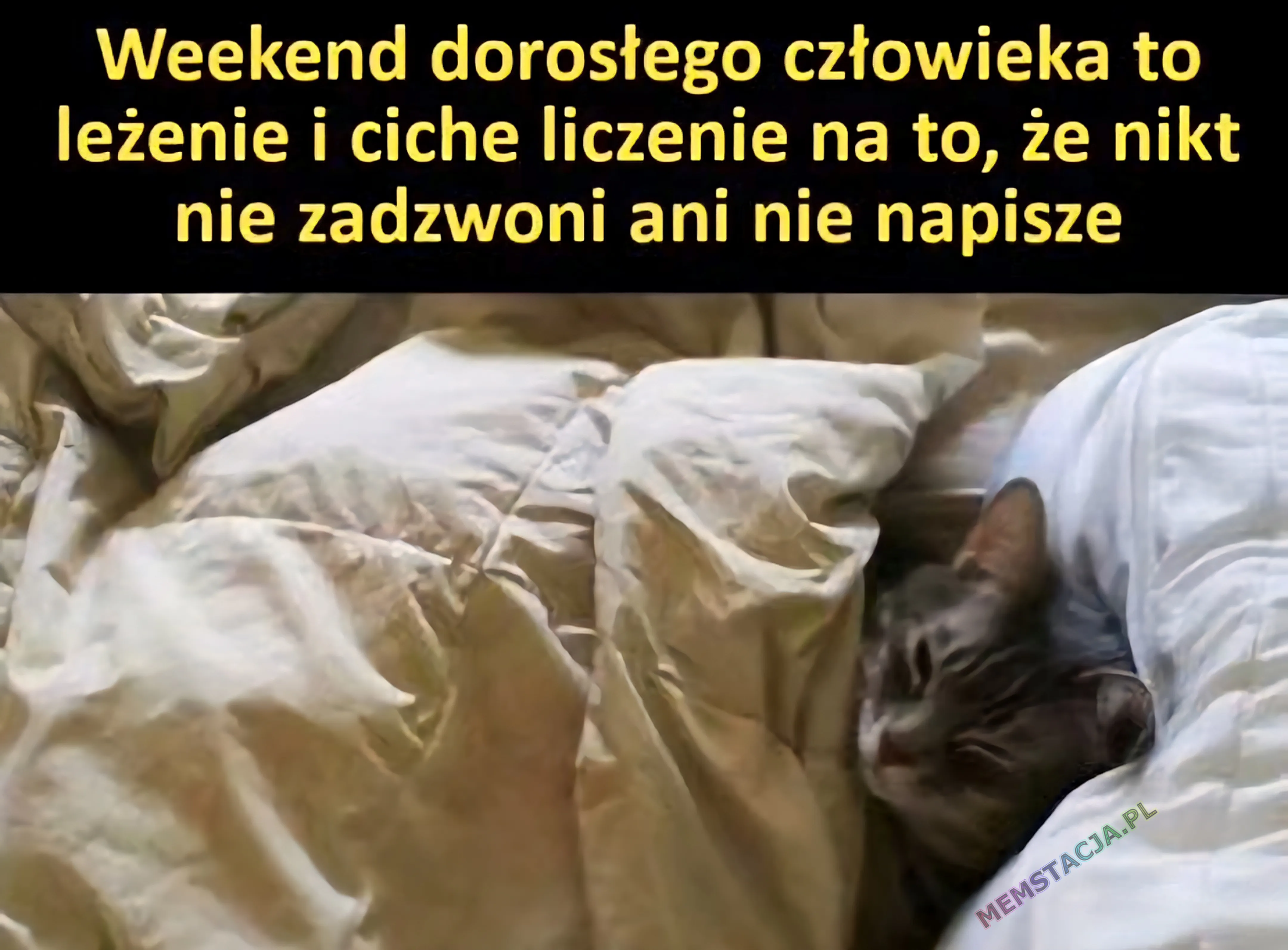 Weekend dorostego człowieka to leżenie ciche liczenie na to, że nikt nie zadzwoni ani nie napisze. Zdjęcie kotka w łóżku i pod kołdrą.