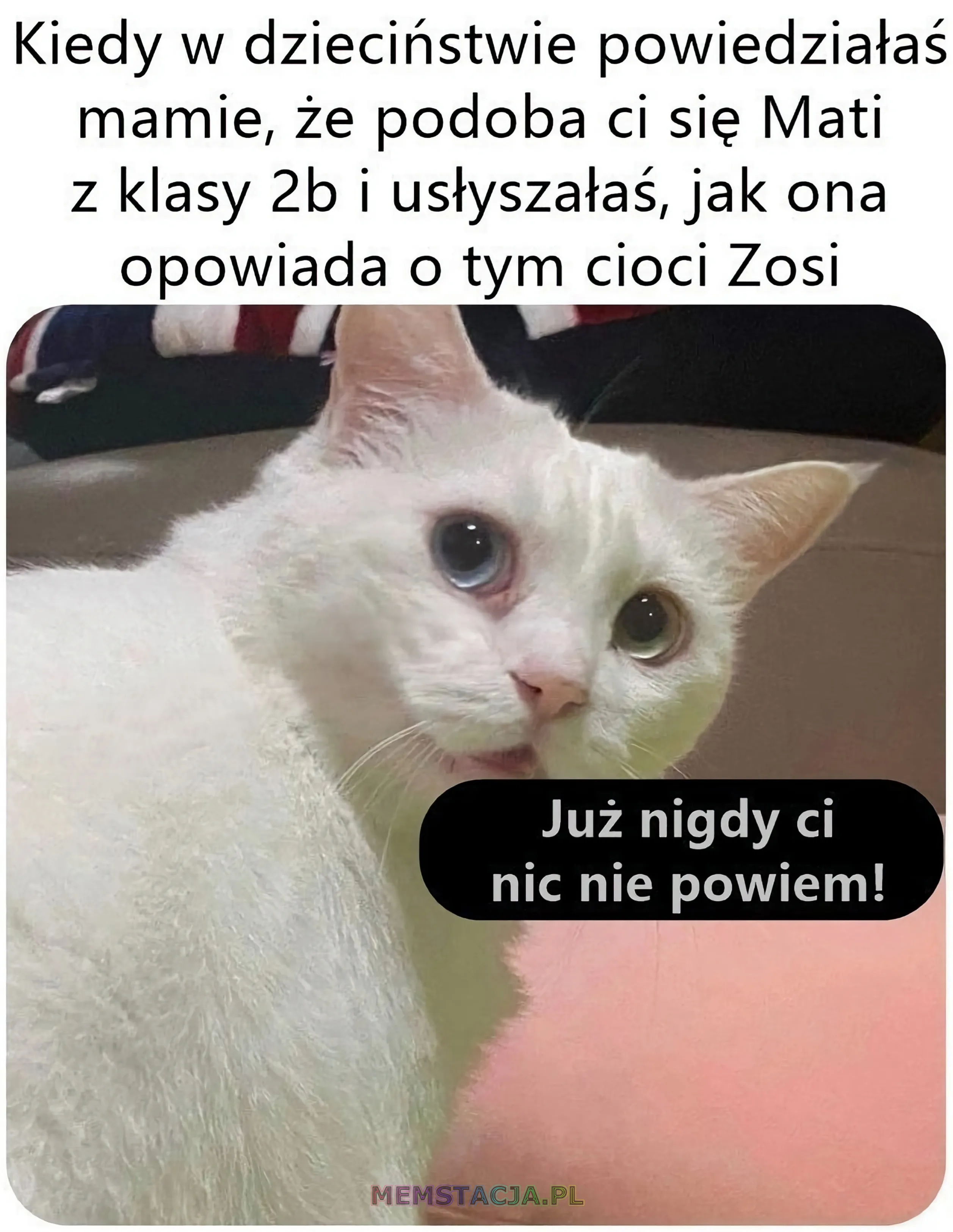 Mem przedstawiający zdjęcie smutnego kotka: 'Kiedy w dzieciństwie powiedziałaś mamie, że podoba ci się Mati z klasy 2b i usłyszałaś, jak ona opowiada o tym cioci Zosi'; 'Już nigdy ci nic nie powiem!'