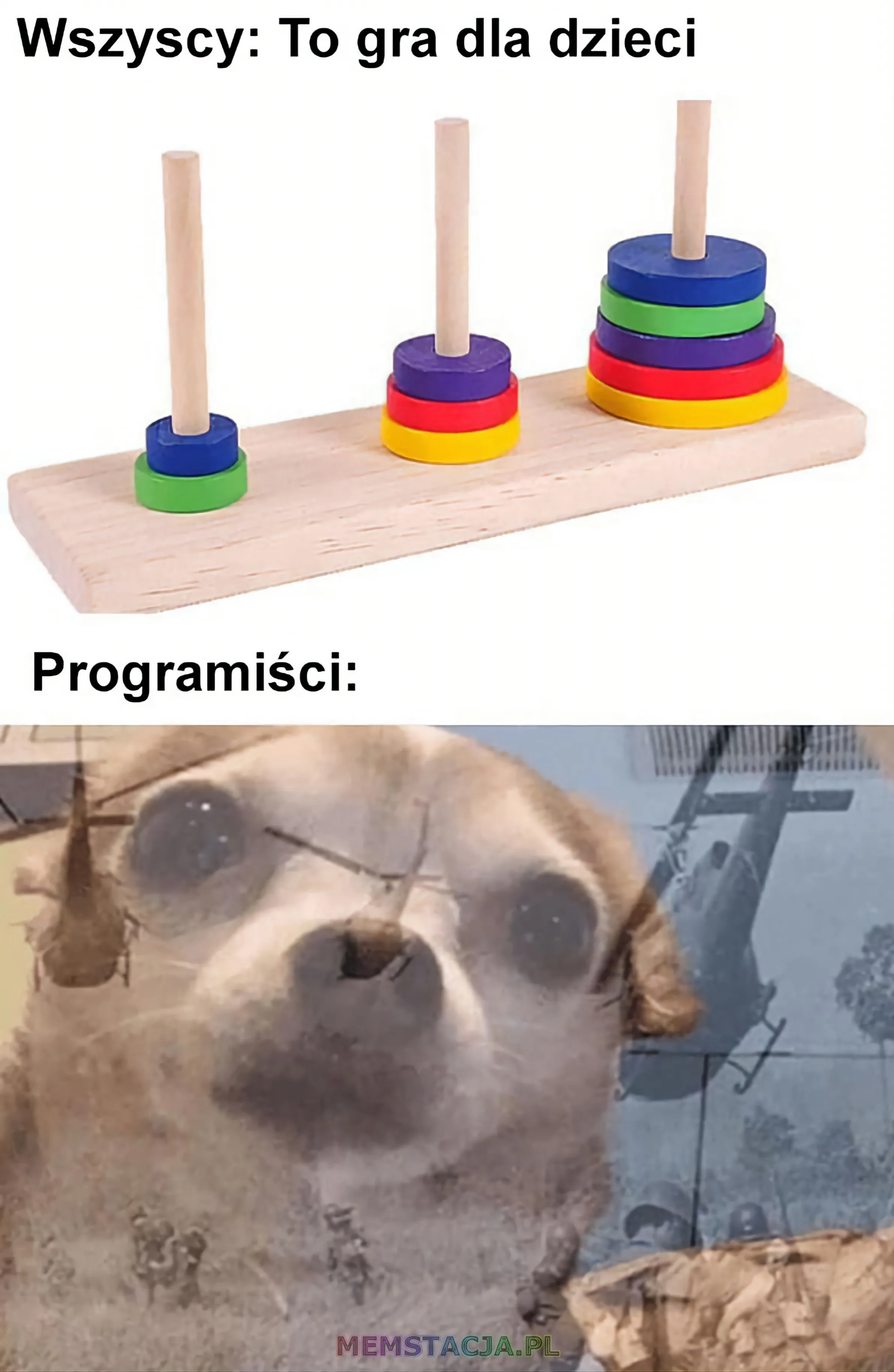 Zdjęcie zabawki dla dzieci - układanie w stos: 'Wszyscy: To gra dla dzieci'; Programiści: 'Zdjęcie psa, emitujące wojenne wspomnienia'