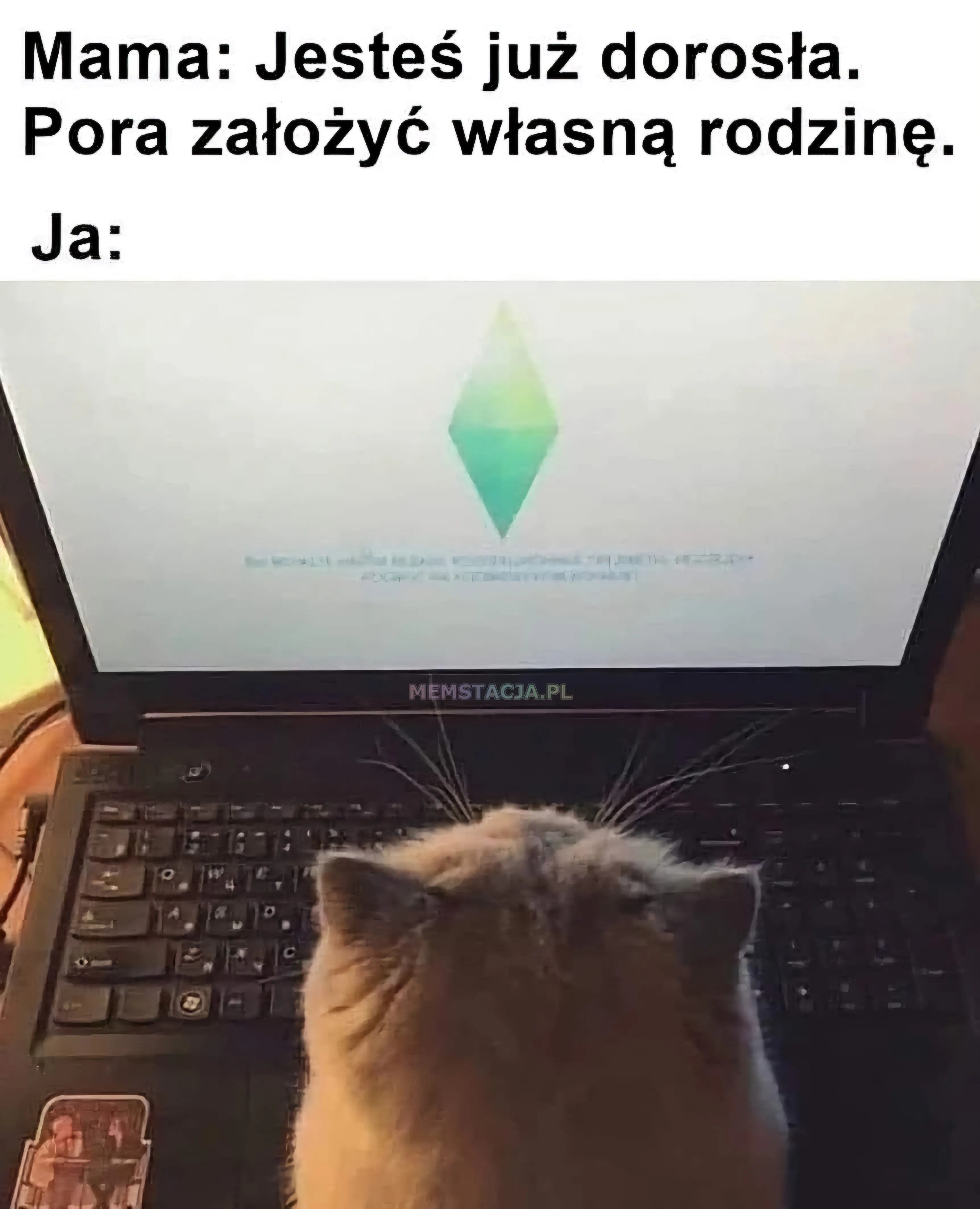 Mama: Jesteś już dorosła. Pora założyć własną rodzinę. Ja: Zdjęcie kota, który siedzi przed laptopem, na którym uruchamiają się SIMSY