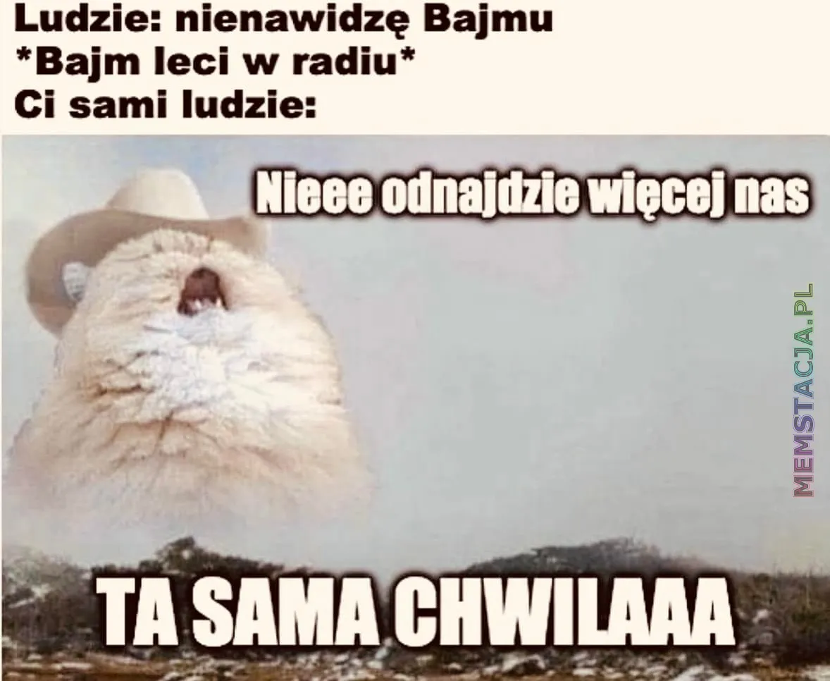 Mem przedstawiający śpiewającego kota w kapeluszu: 'Ludzie: nienawidzę Bajmu; *Bajm leci w radiu*; Ci sami ludzie: Nieee odnajdzie więcej nas TA SAMA CHWILAAA'